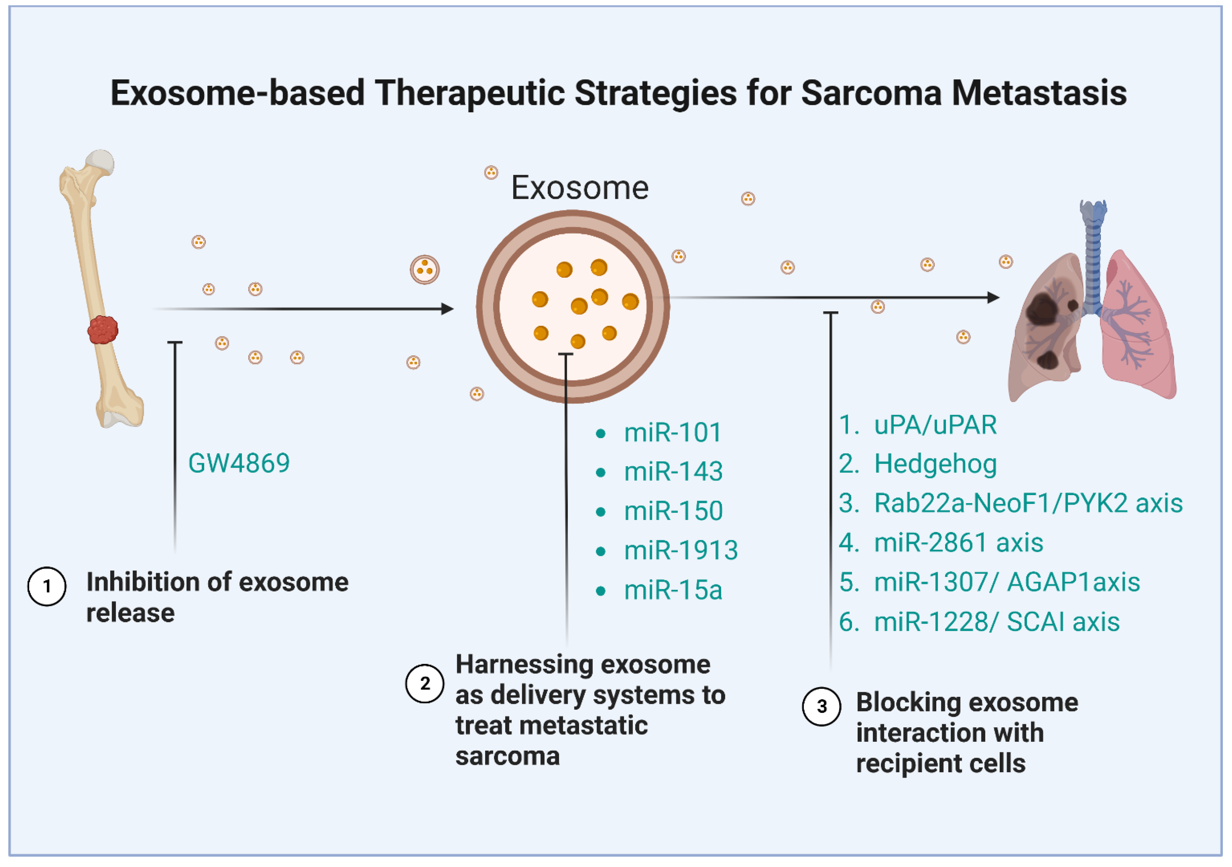 Biomolecules 13 00456 g003