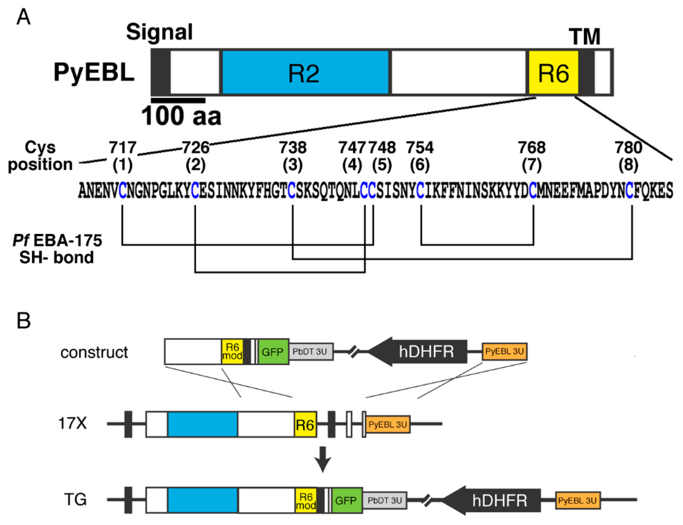 Biomolecules 13 00458 g001