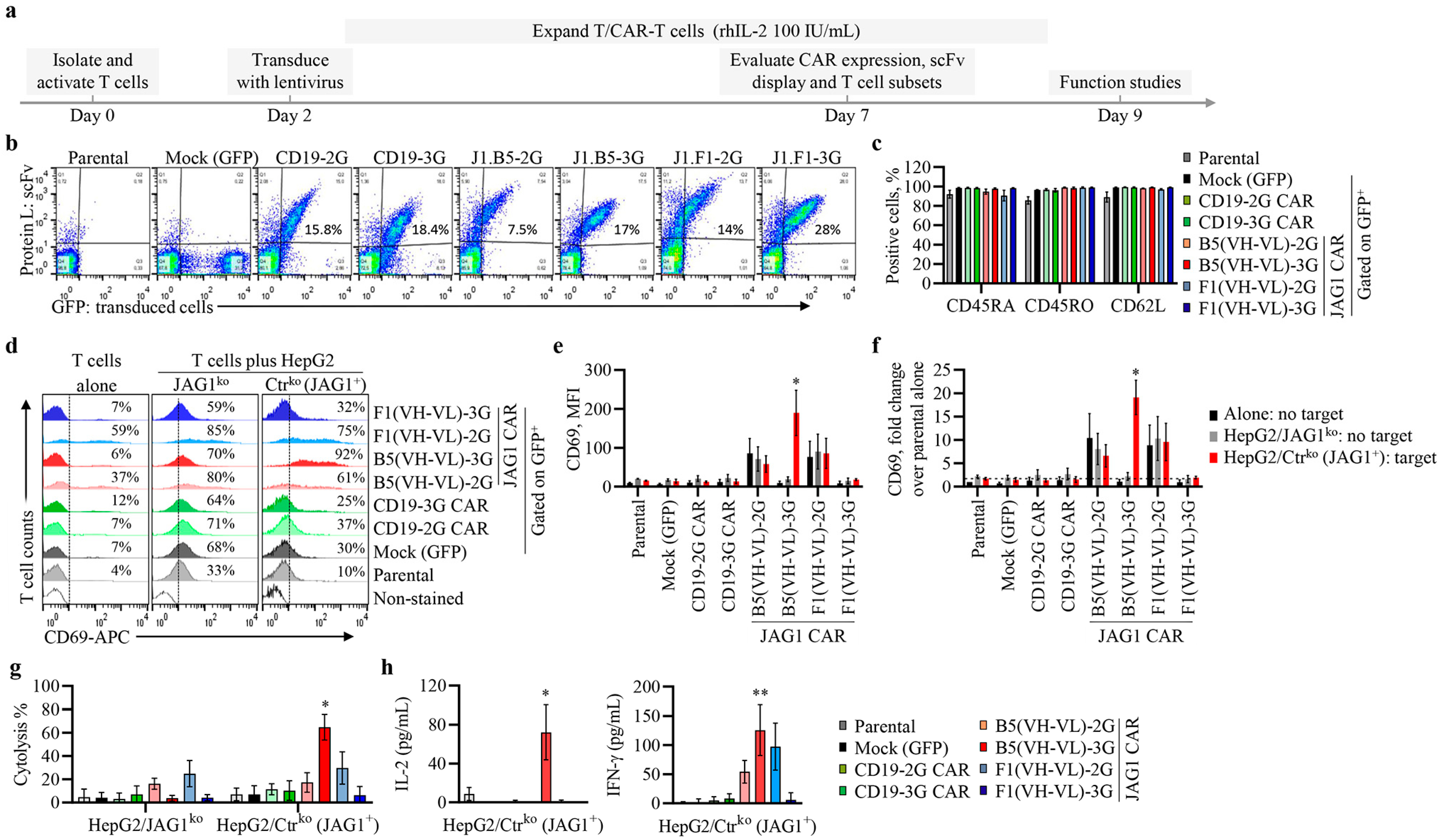 Biomolecules 13 00459 g005