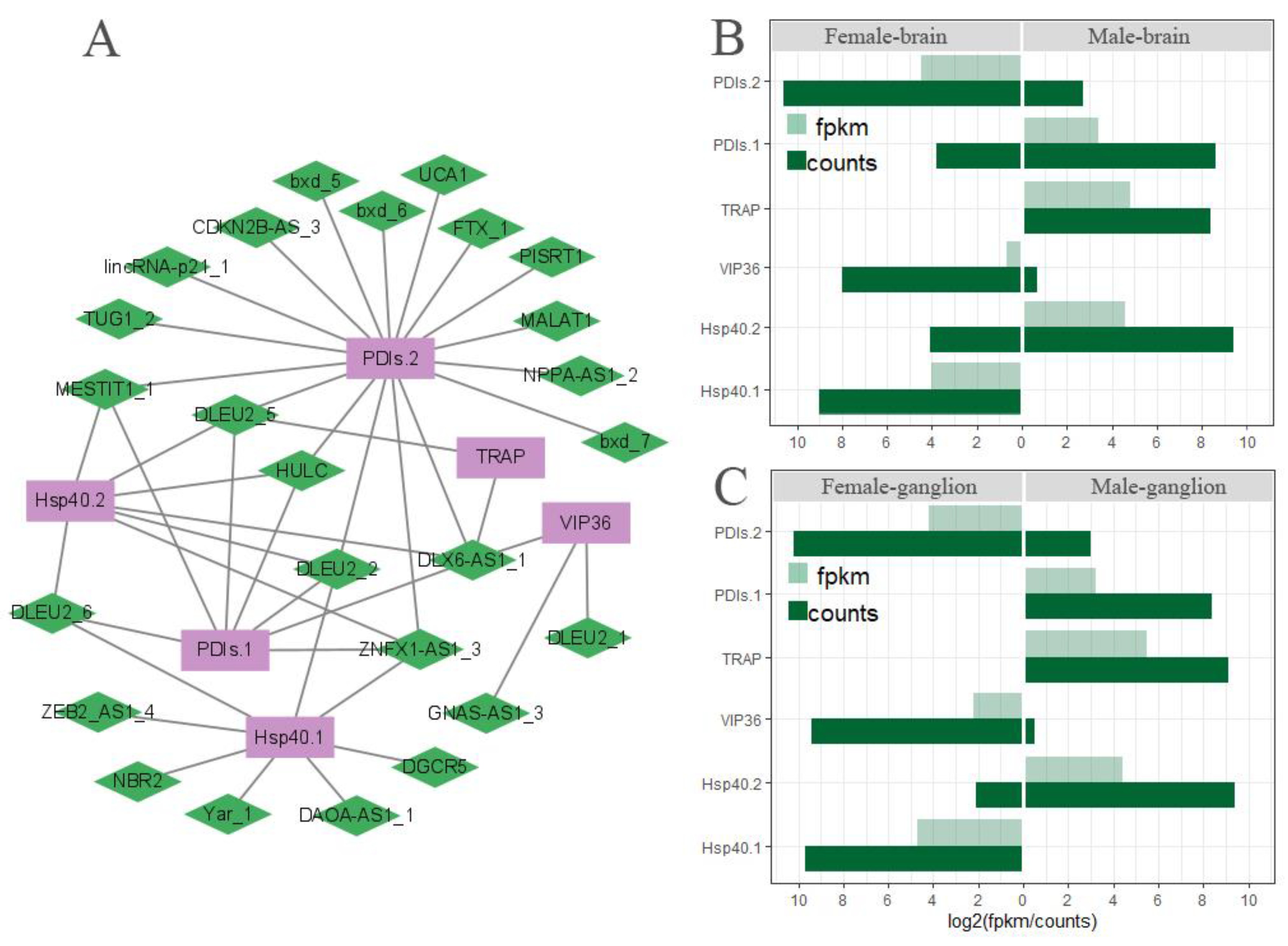 Biomolecules 13 00460 g009