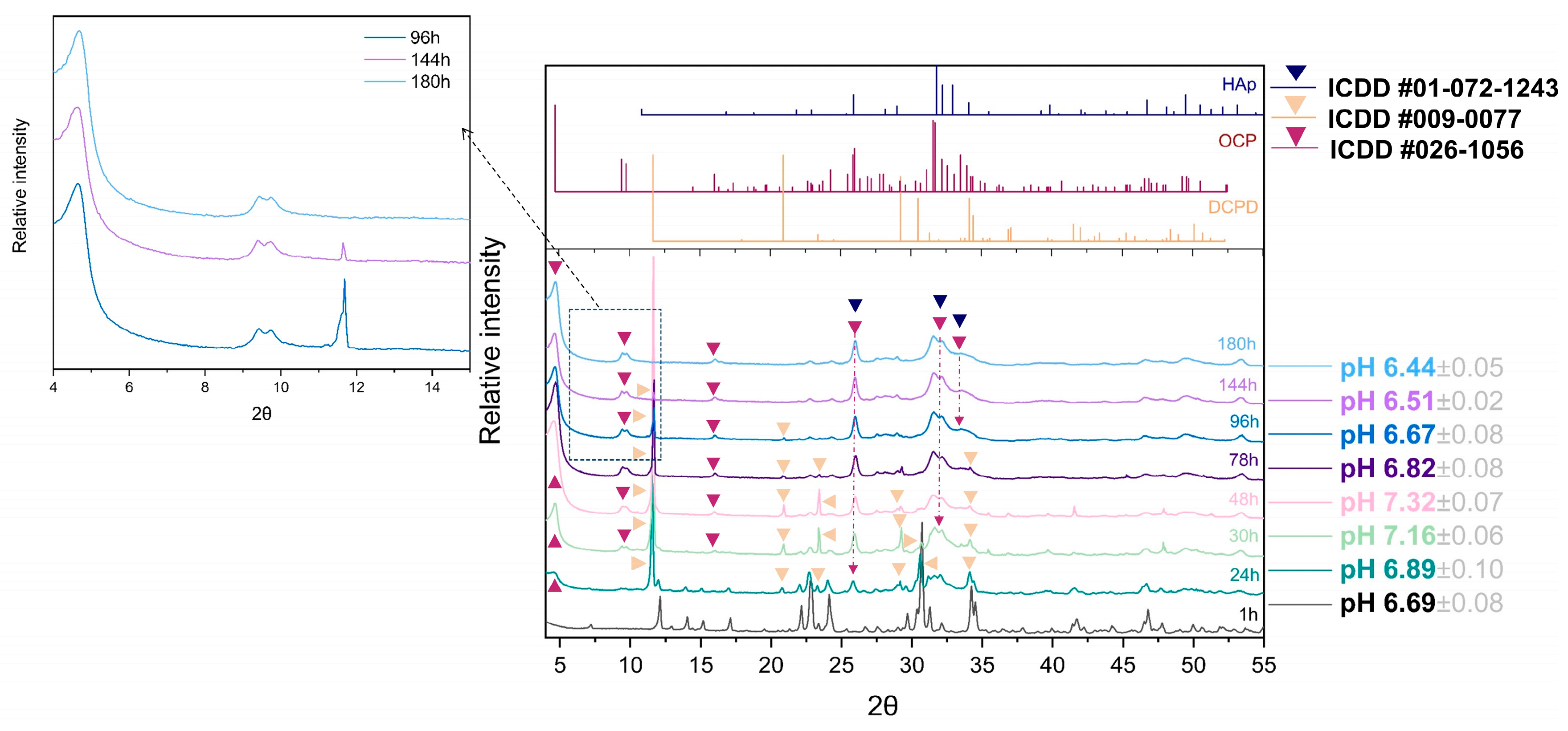 Biomolecules 13 00462 g002