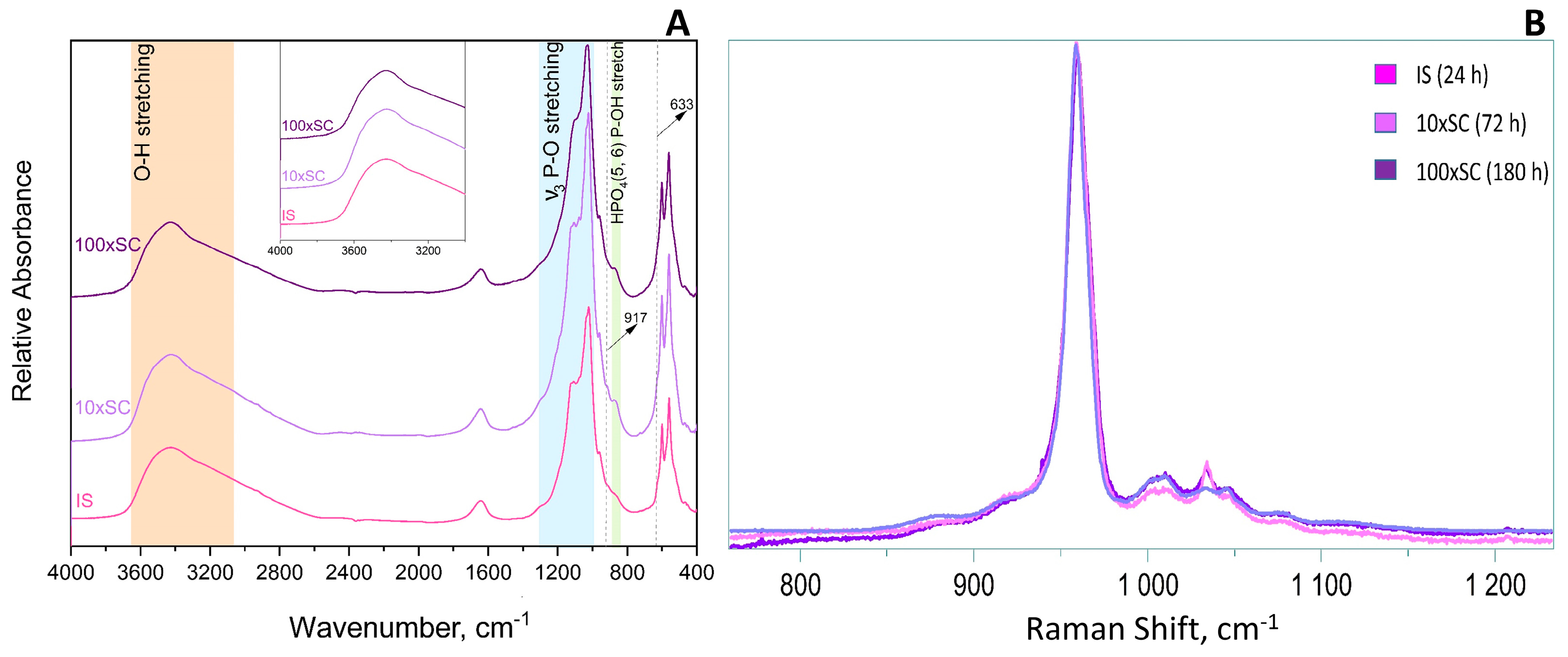 Biomolecules 13 00462 g004