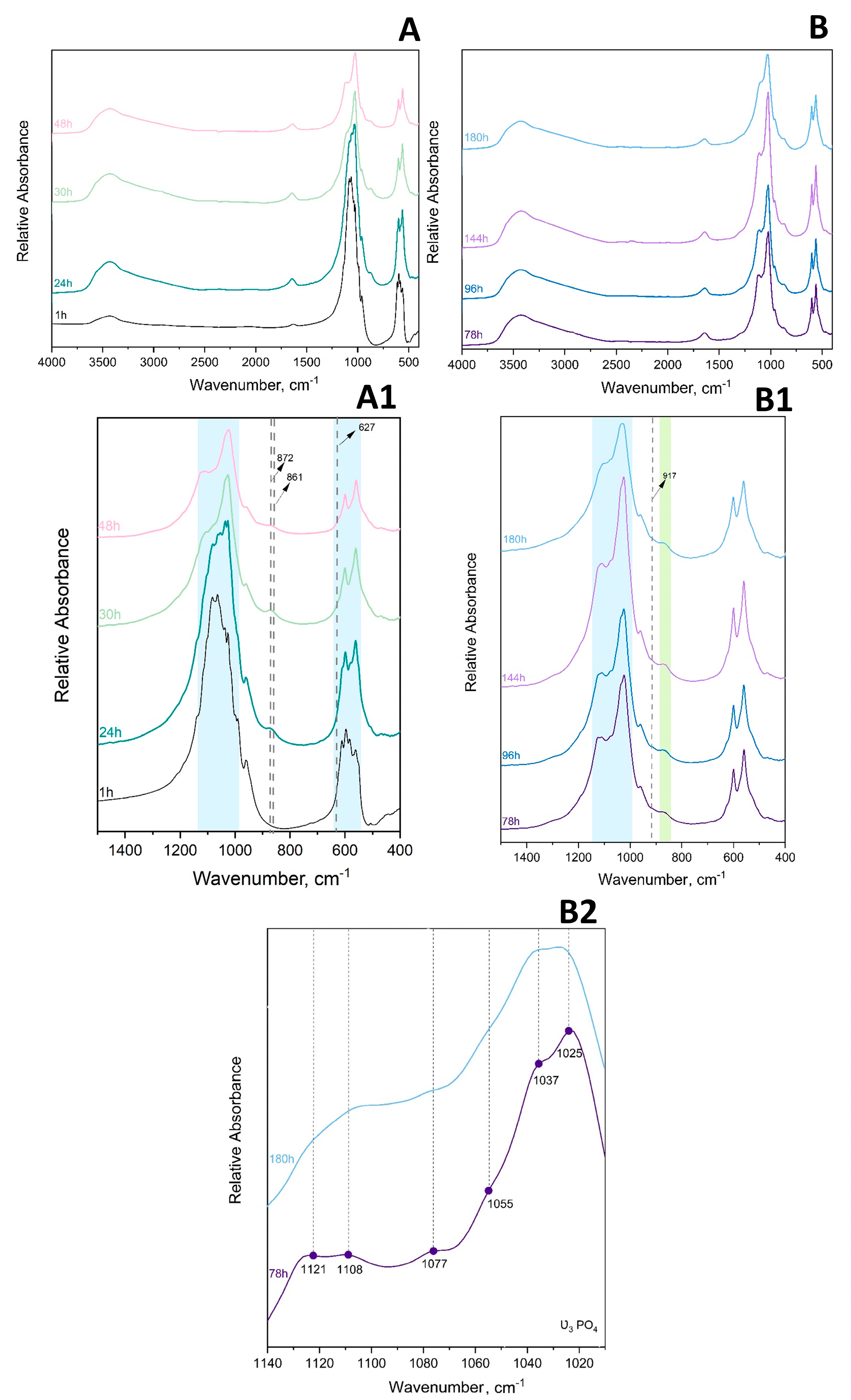 Biomolecules 13 00462 g005