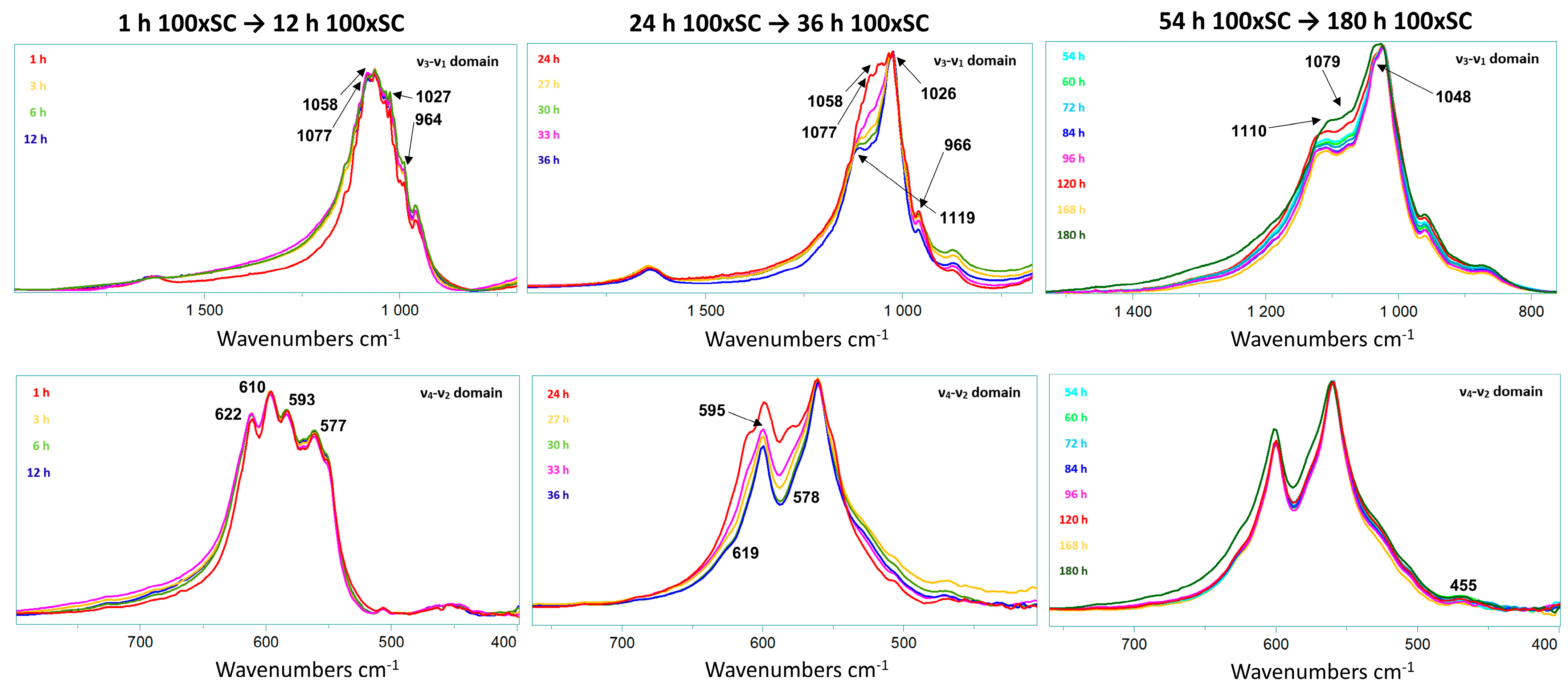 Biomolecules 13 00462 g006