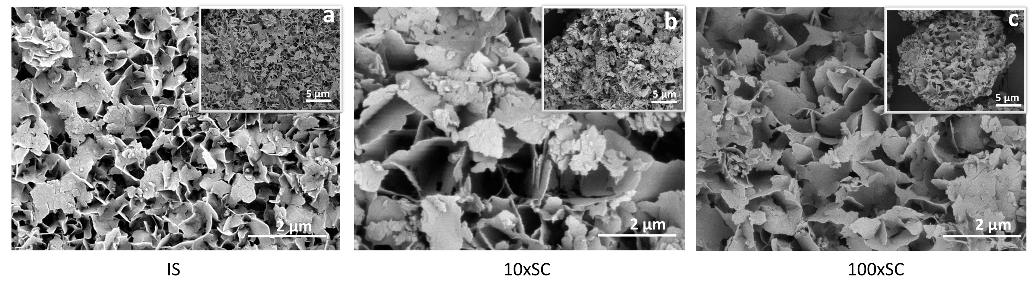 Biomolecules 13 00462 g007
