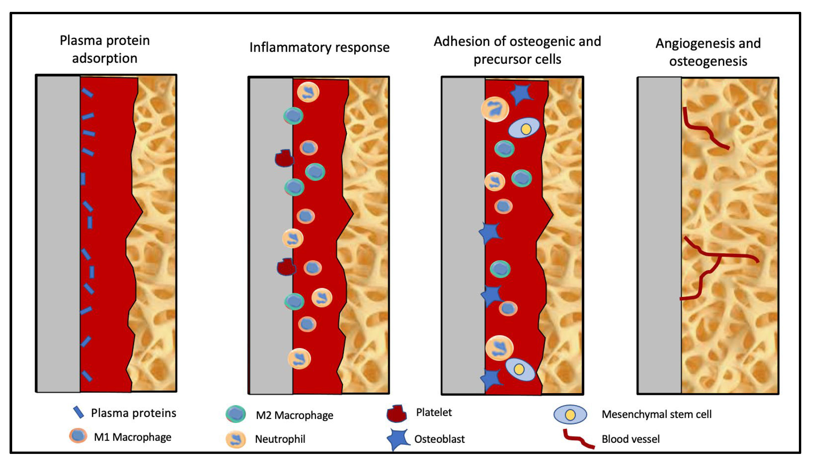 Biomolecules 13 00464 g001