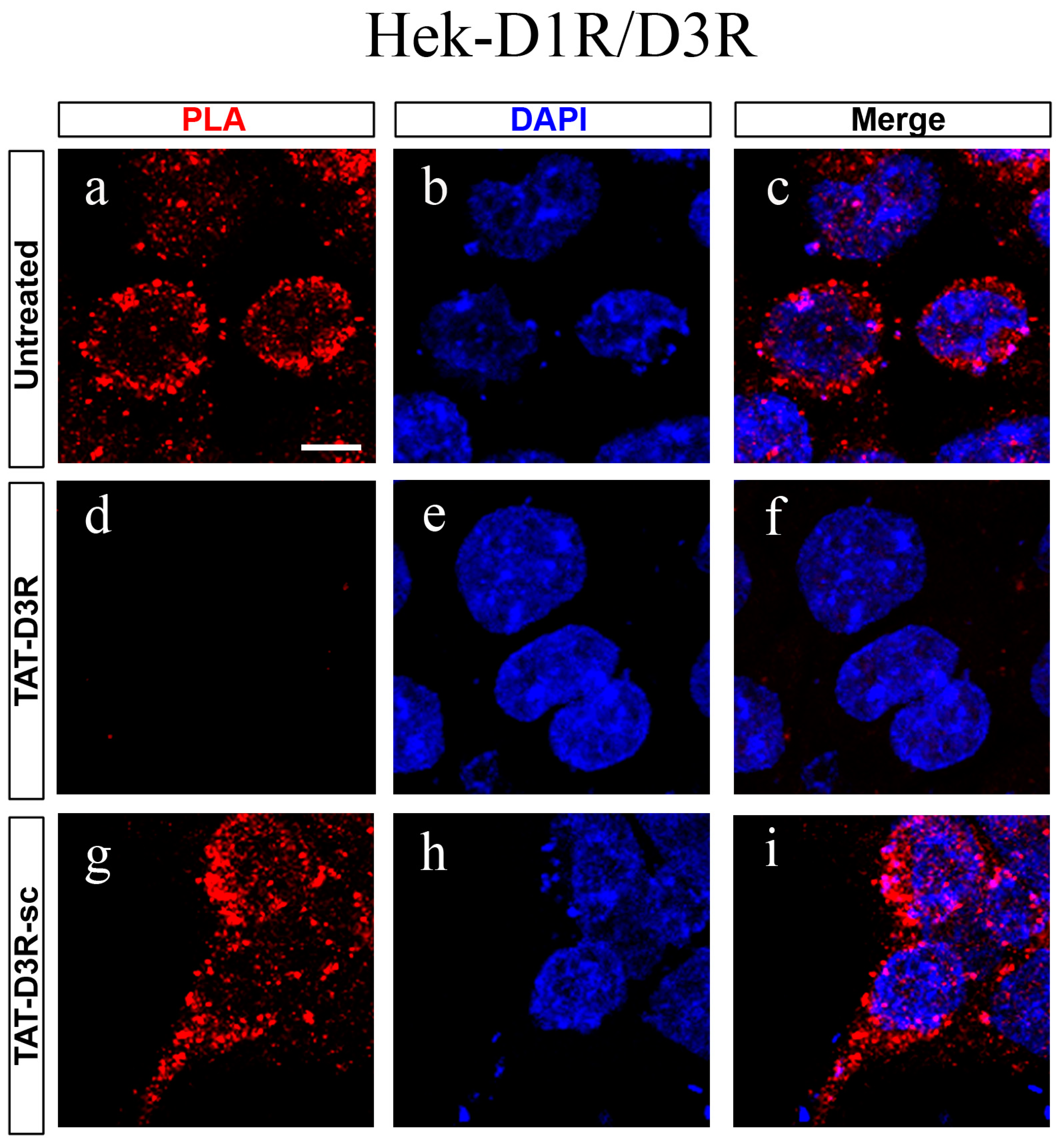 Biomolecules 13 00473 g001