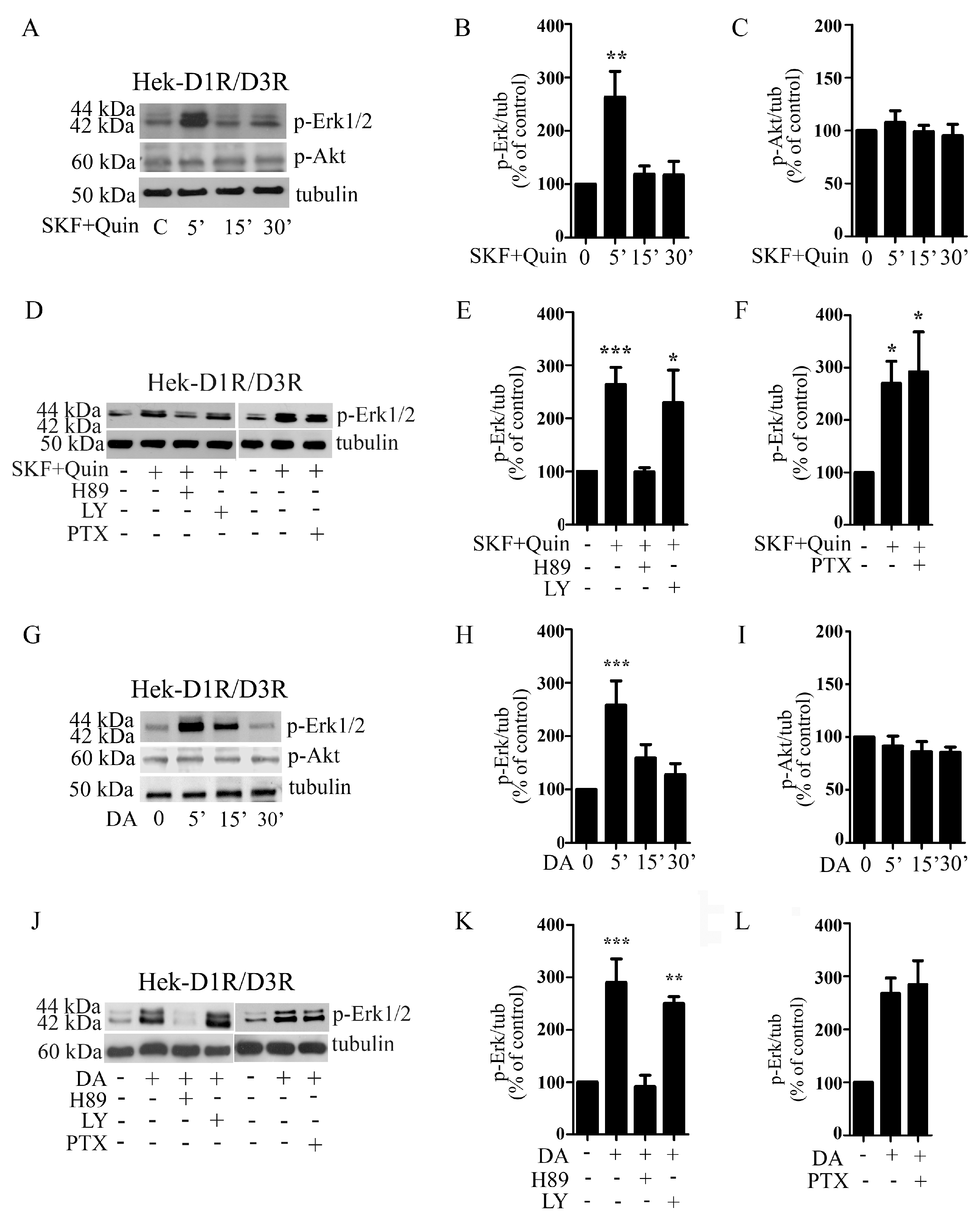 Biomolecules 13 00473 g002