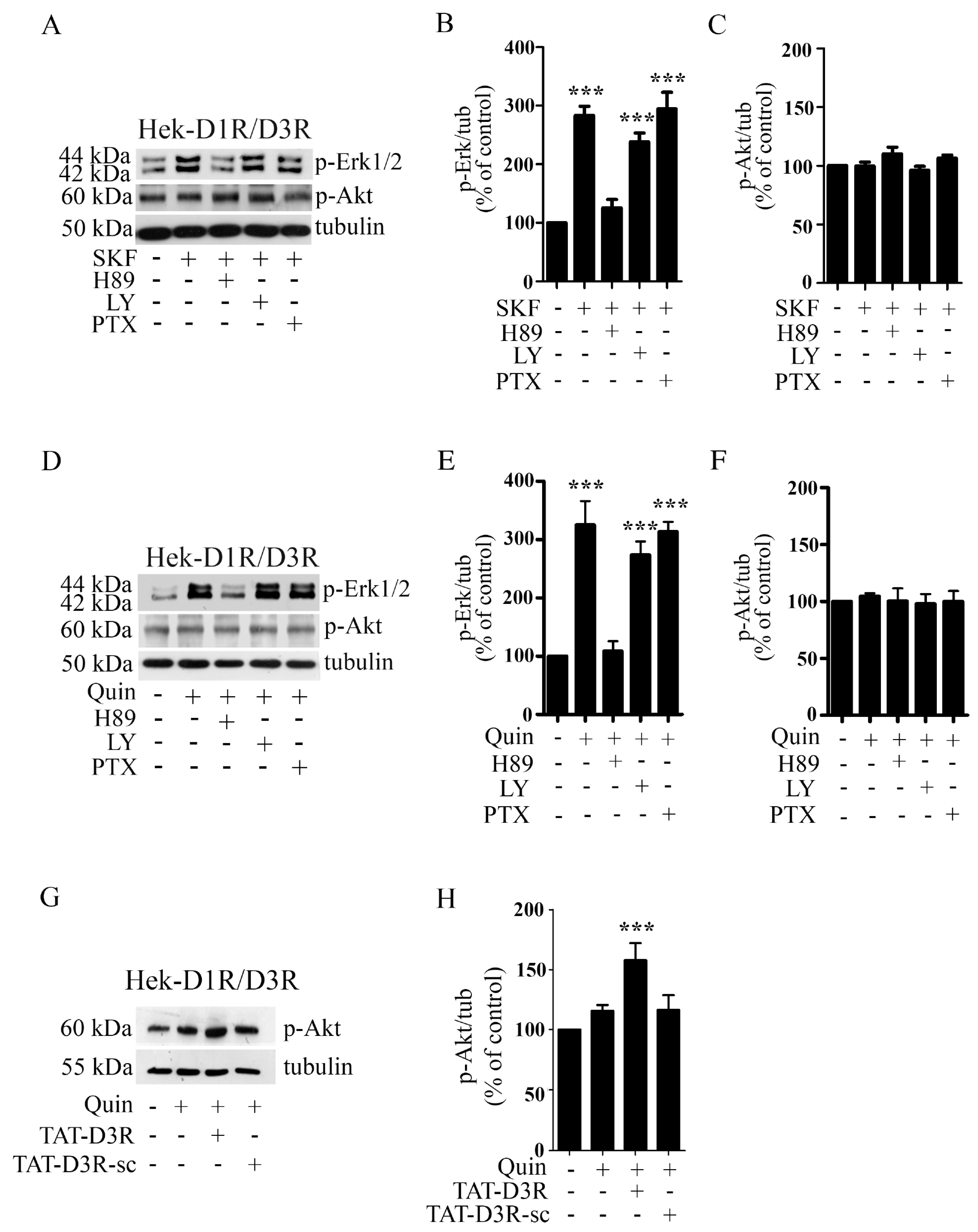 Biomolecules 13 00473 g003
