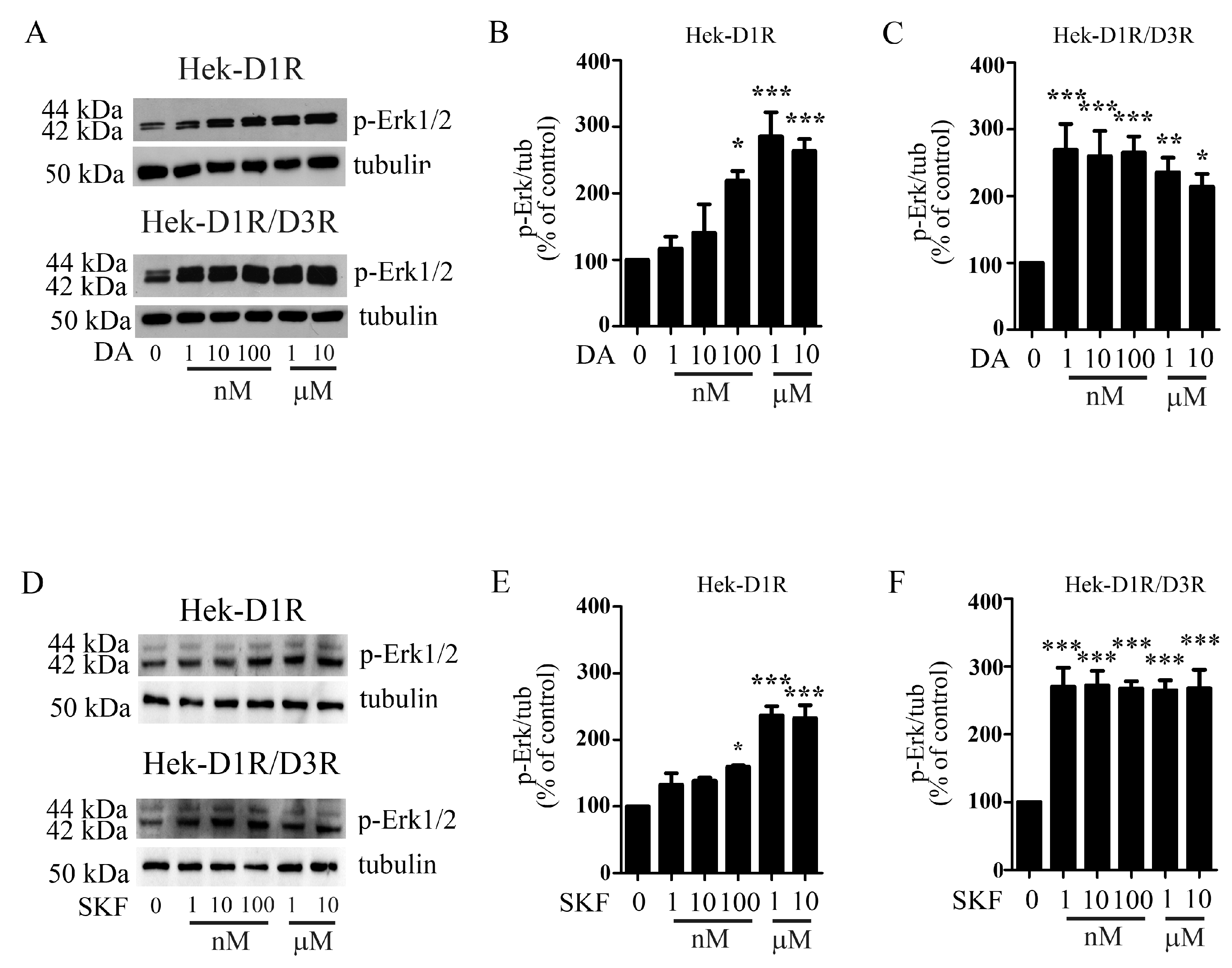 Biomolecules 13 00473 g004