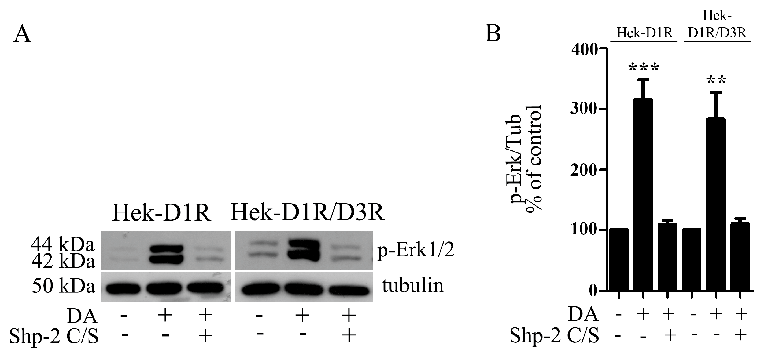 Biomolecules 13 00473 g005