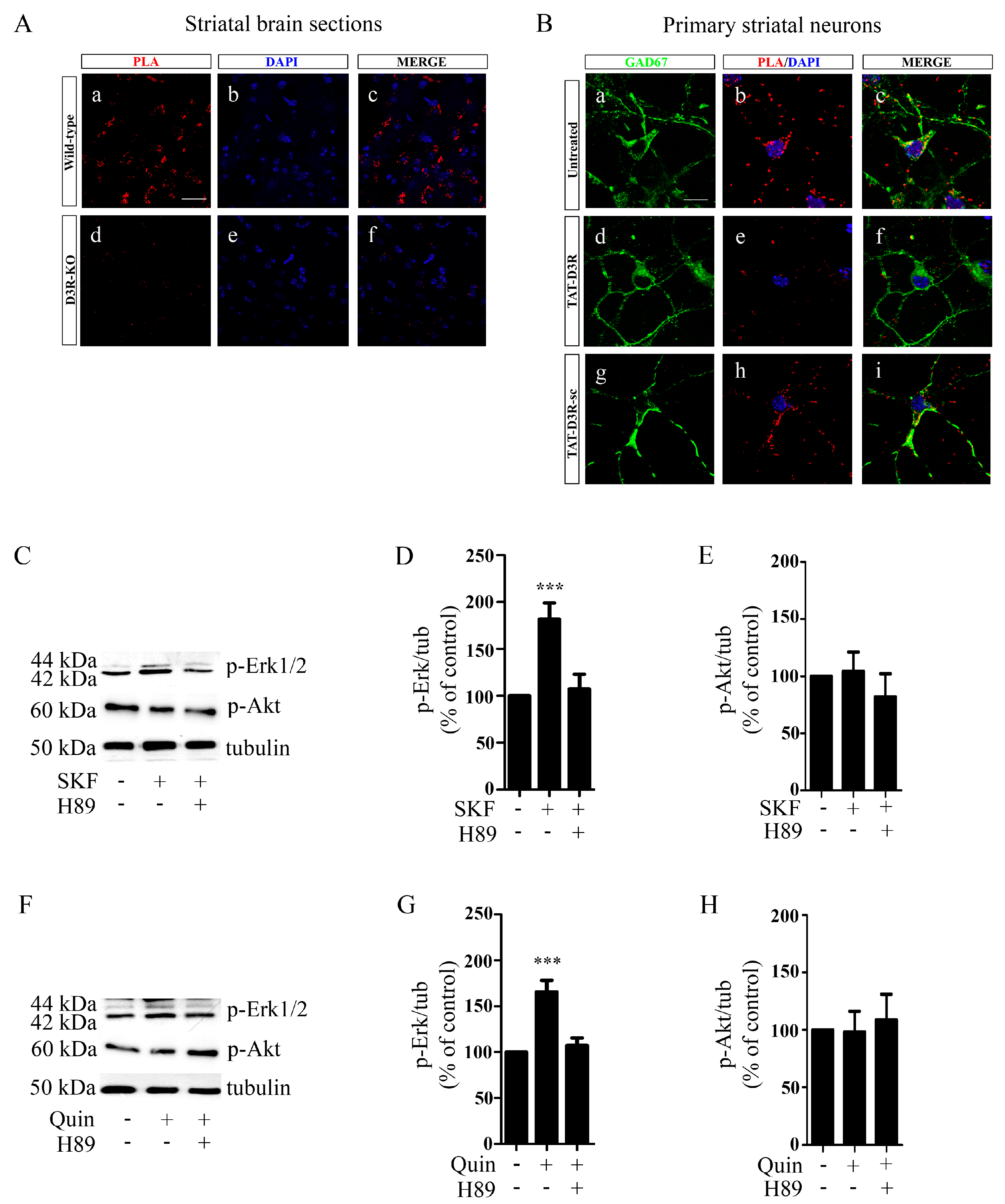 Biomolecules 13 00473 g006
