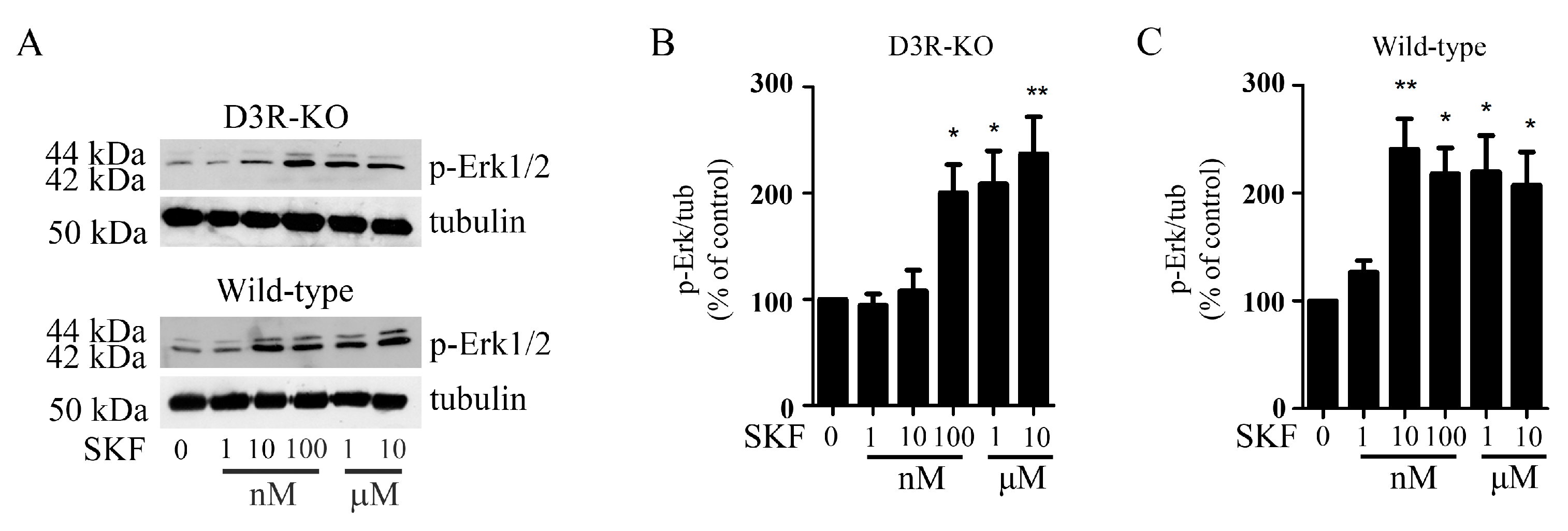 Biomolecules 13 00473 g007