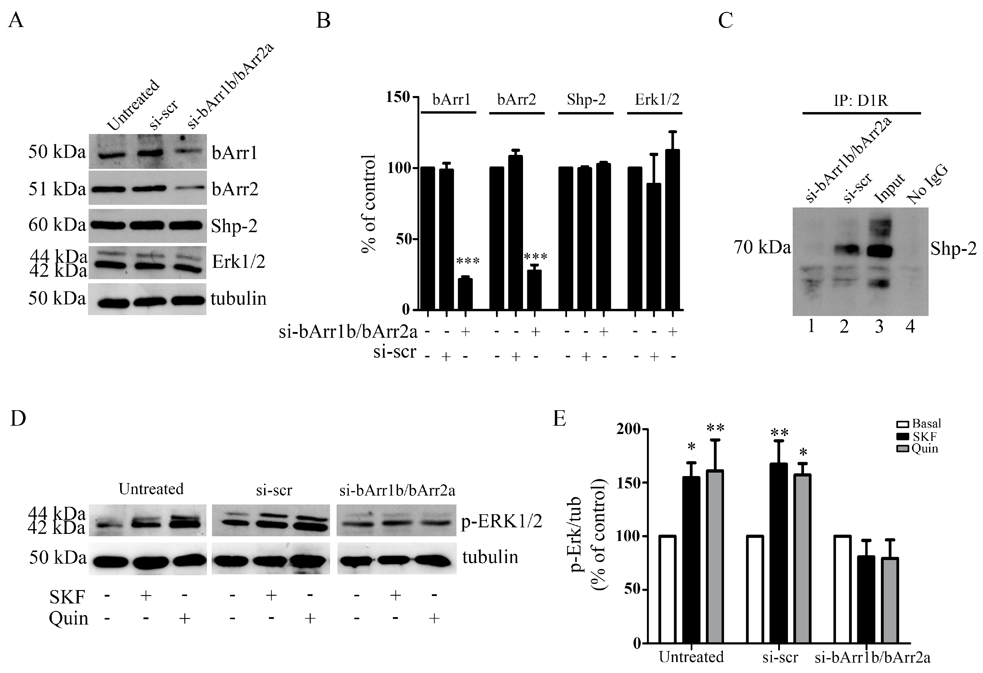 Biomolecules 13 00473 g008