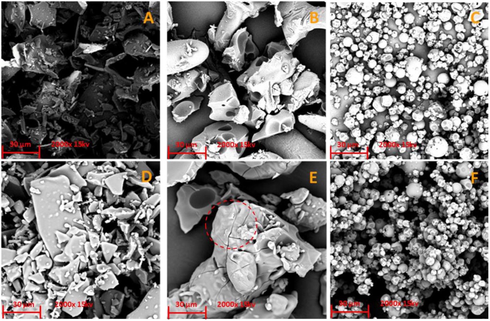 Biomolecules 13 00474 g004