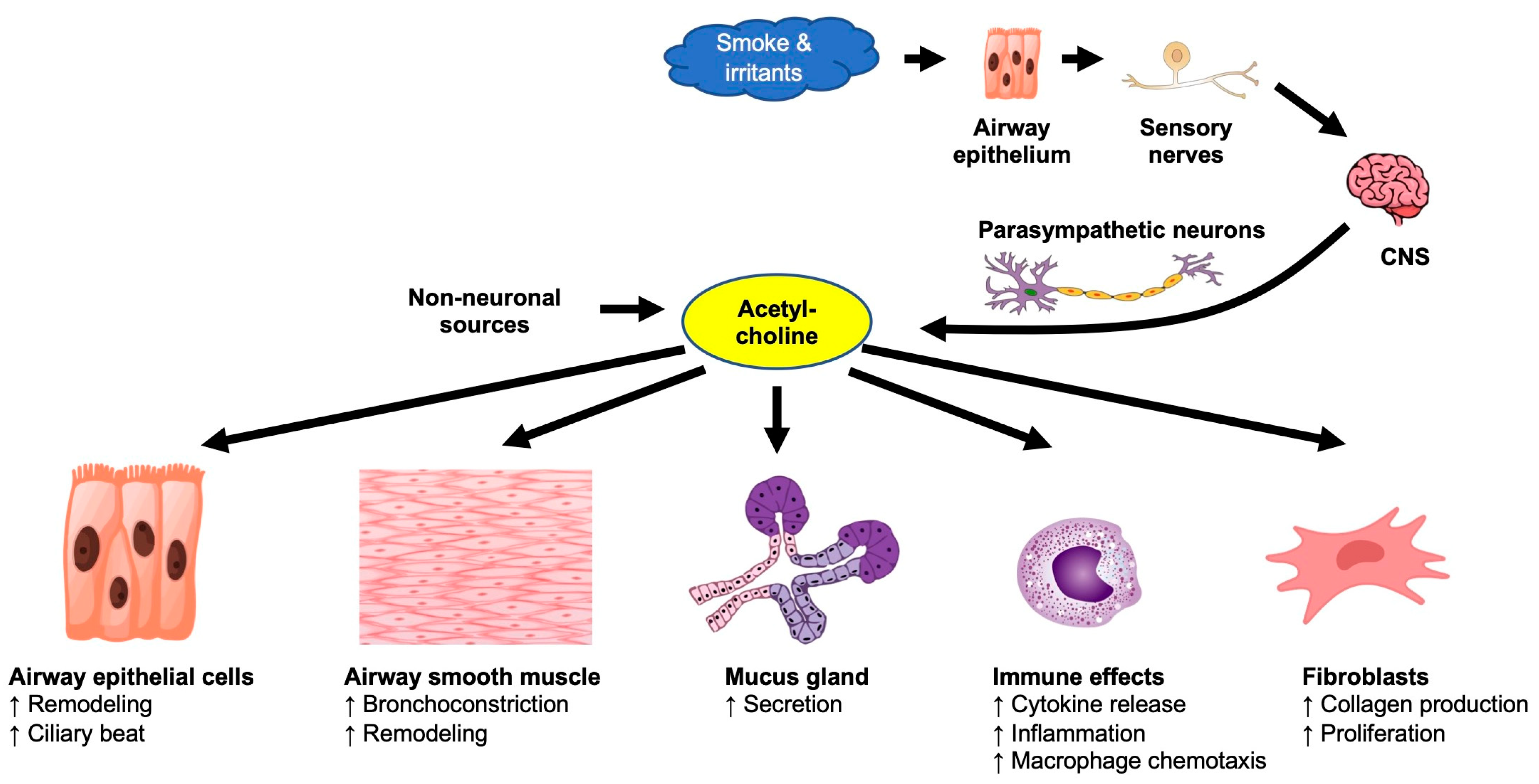 Biomolecules 13 00476 g001