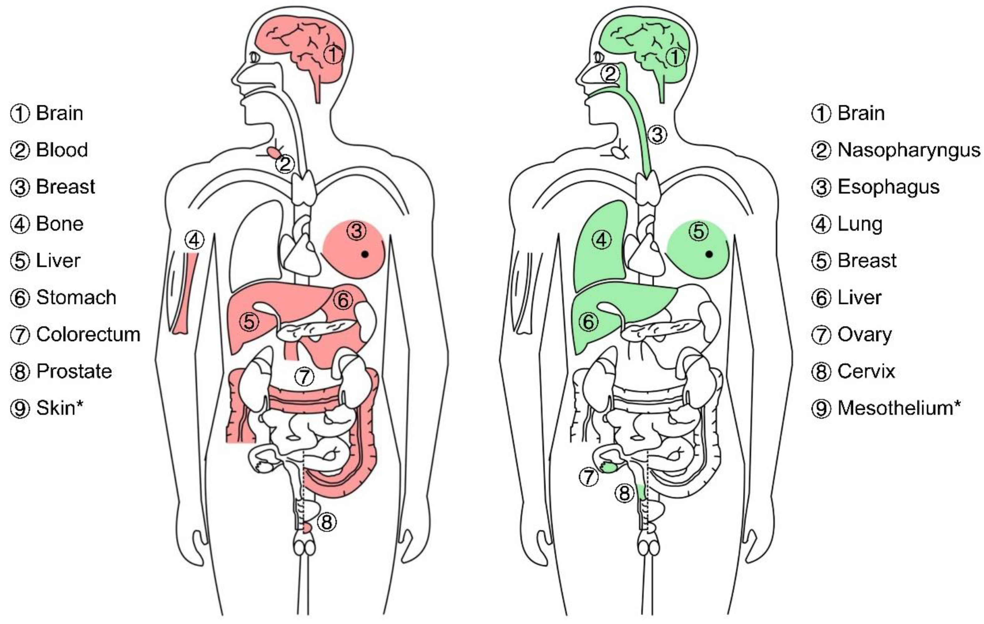 Biomolecules 13 00477 g002