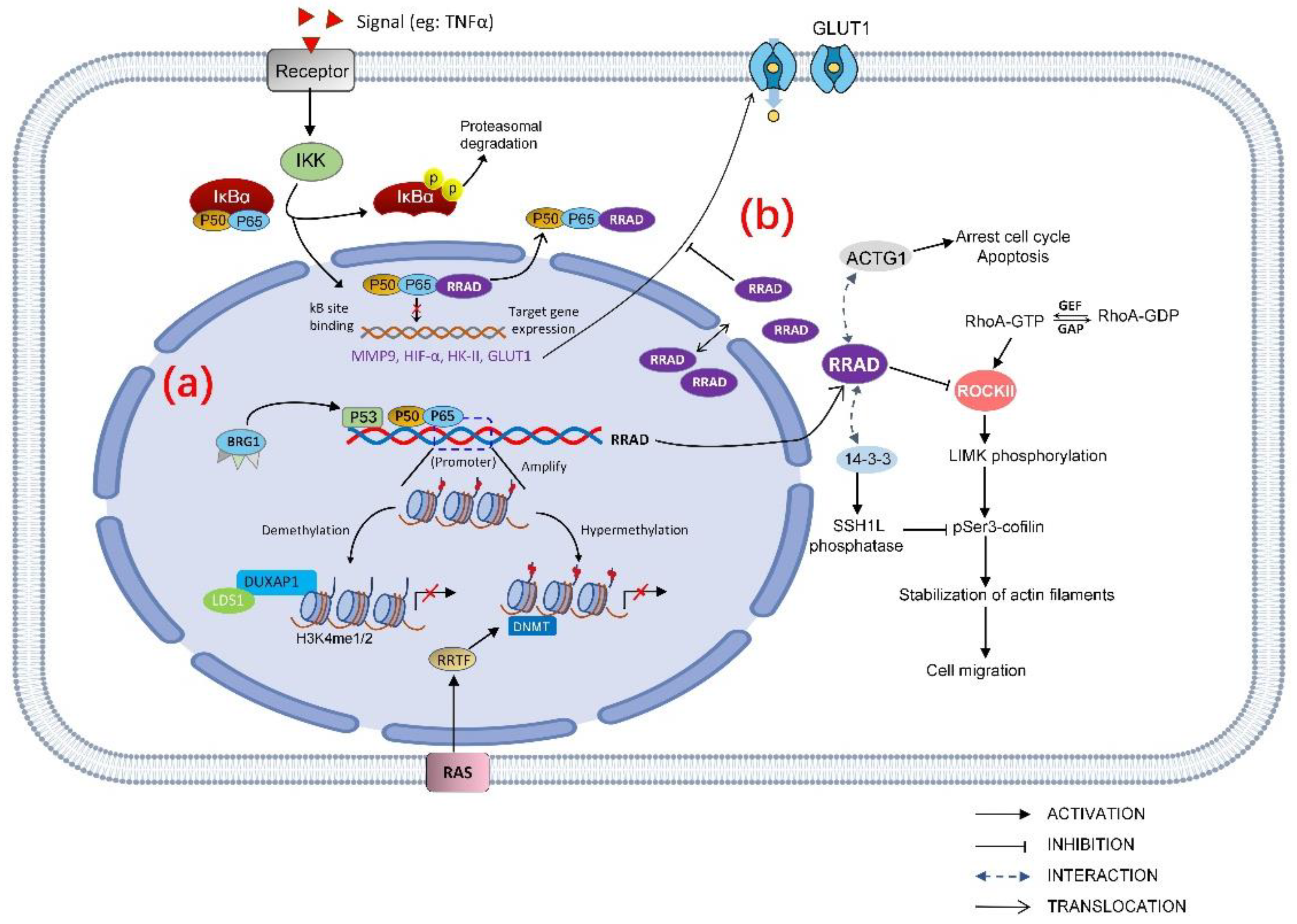 Biomolecules 13 00477 g003
