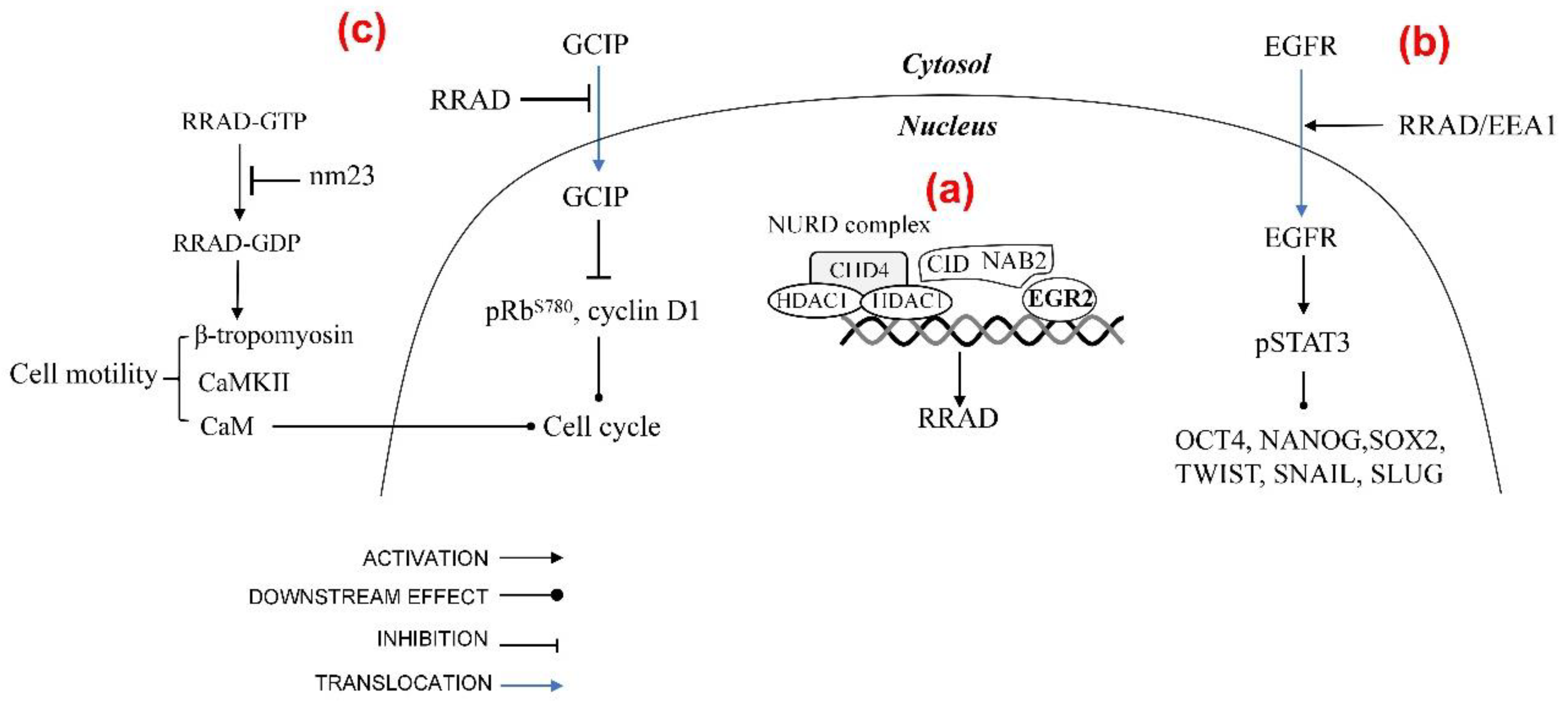 Biomolecules 13 00477 g004