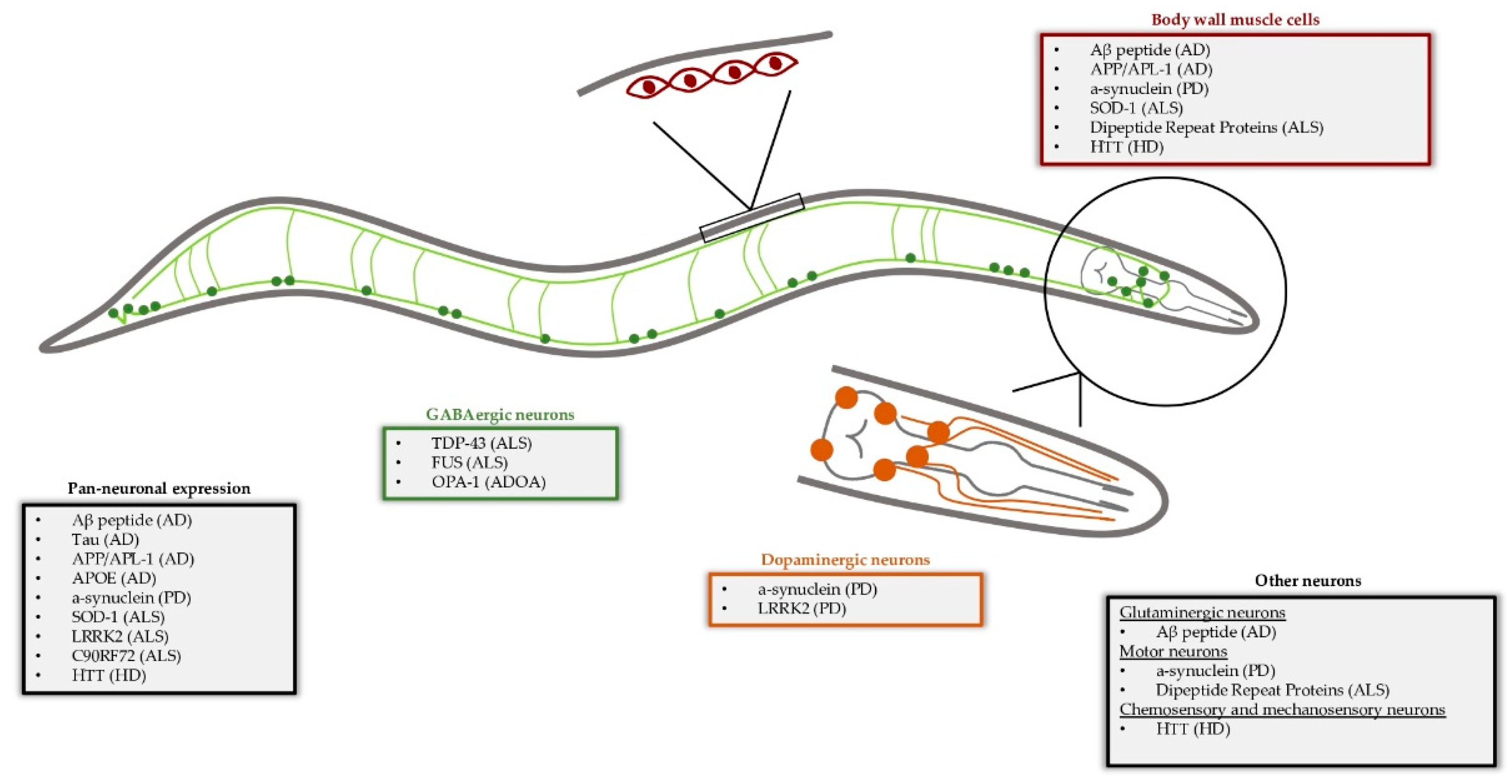 Biomolecules 13 00478 g001