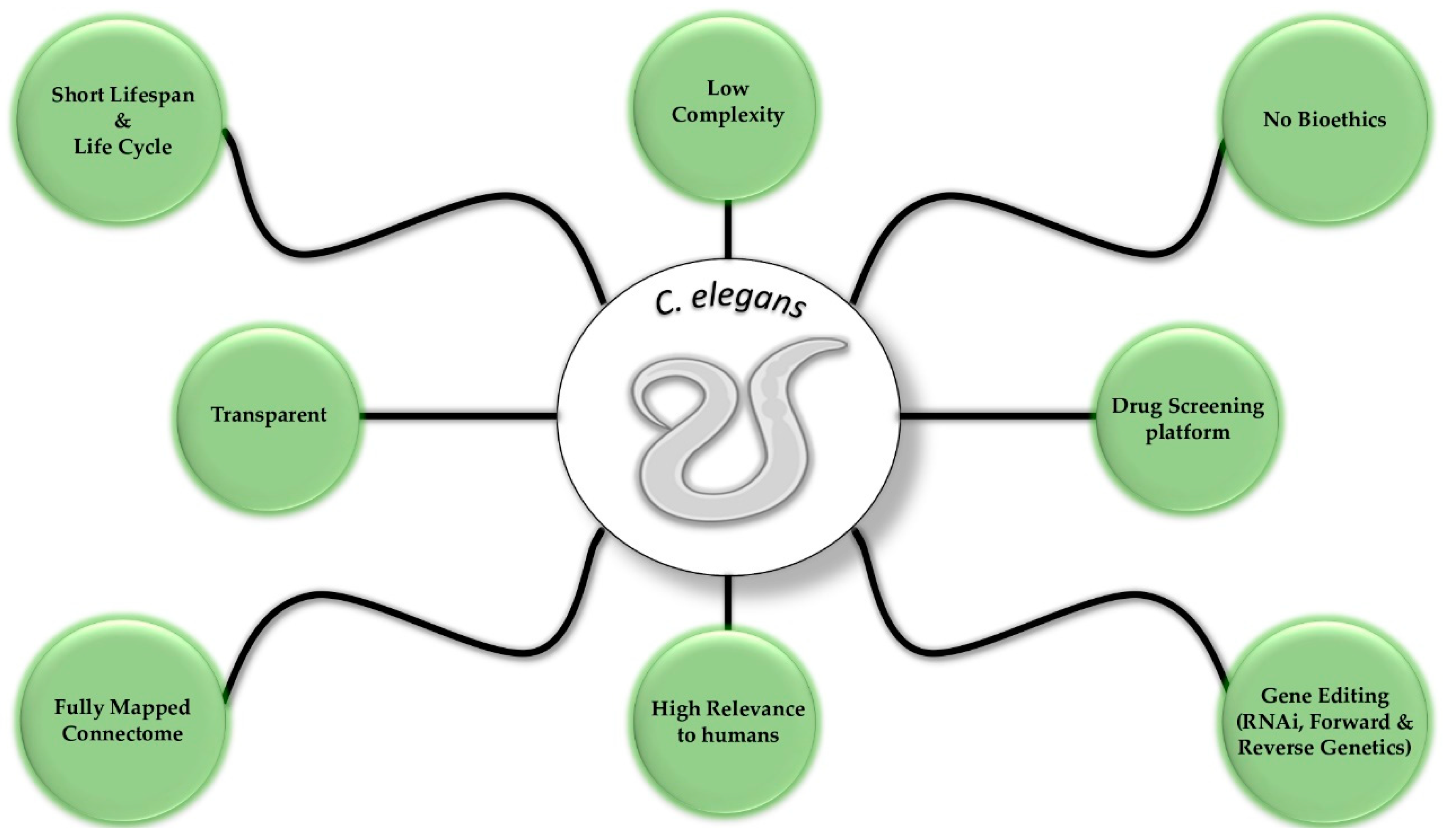 Biomolecules 13 00478 g002