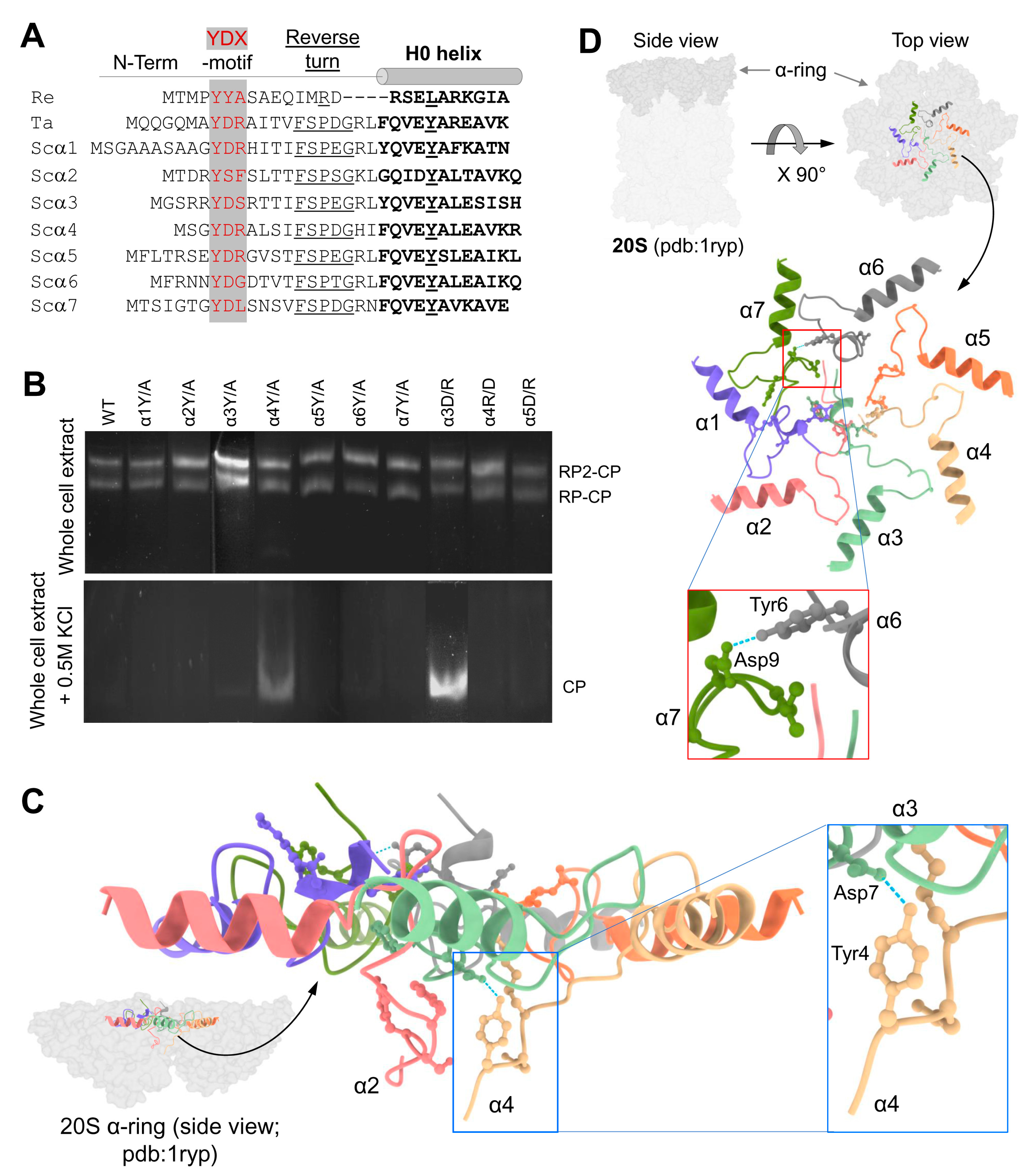 Biomolecules 13 00480 g001