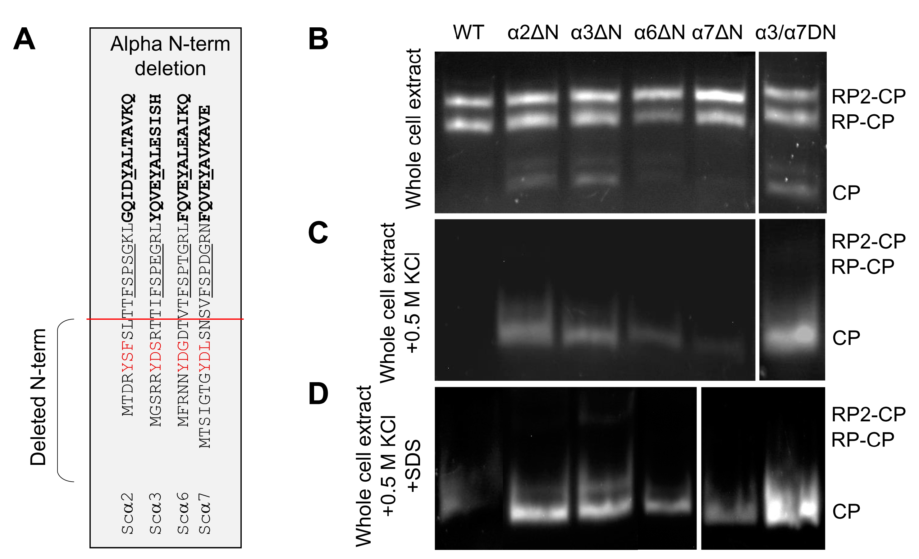 Biomolecules 13 00480 g002