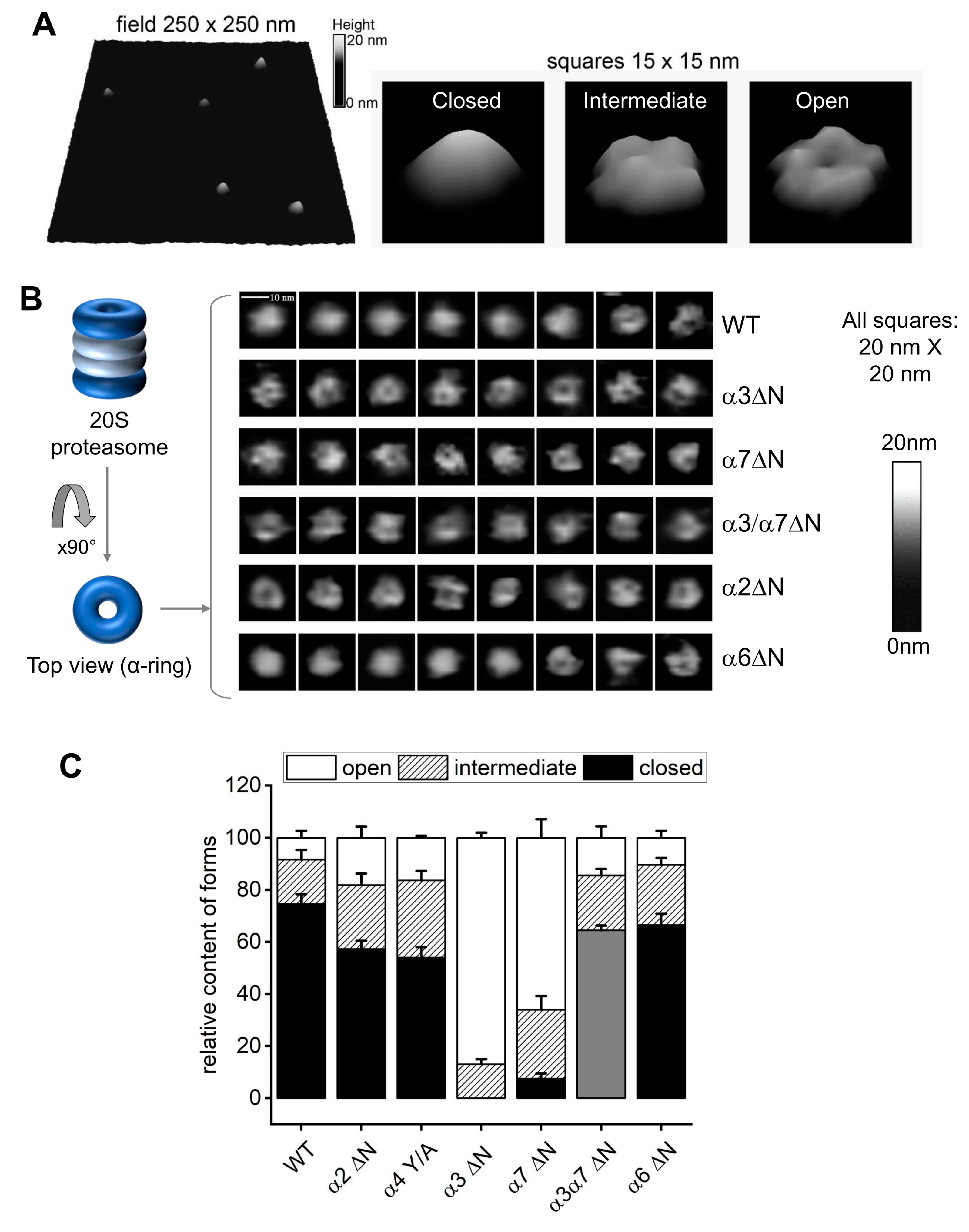 Biomolecules 13 00480 g003