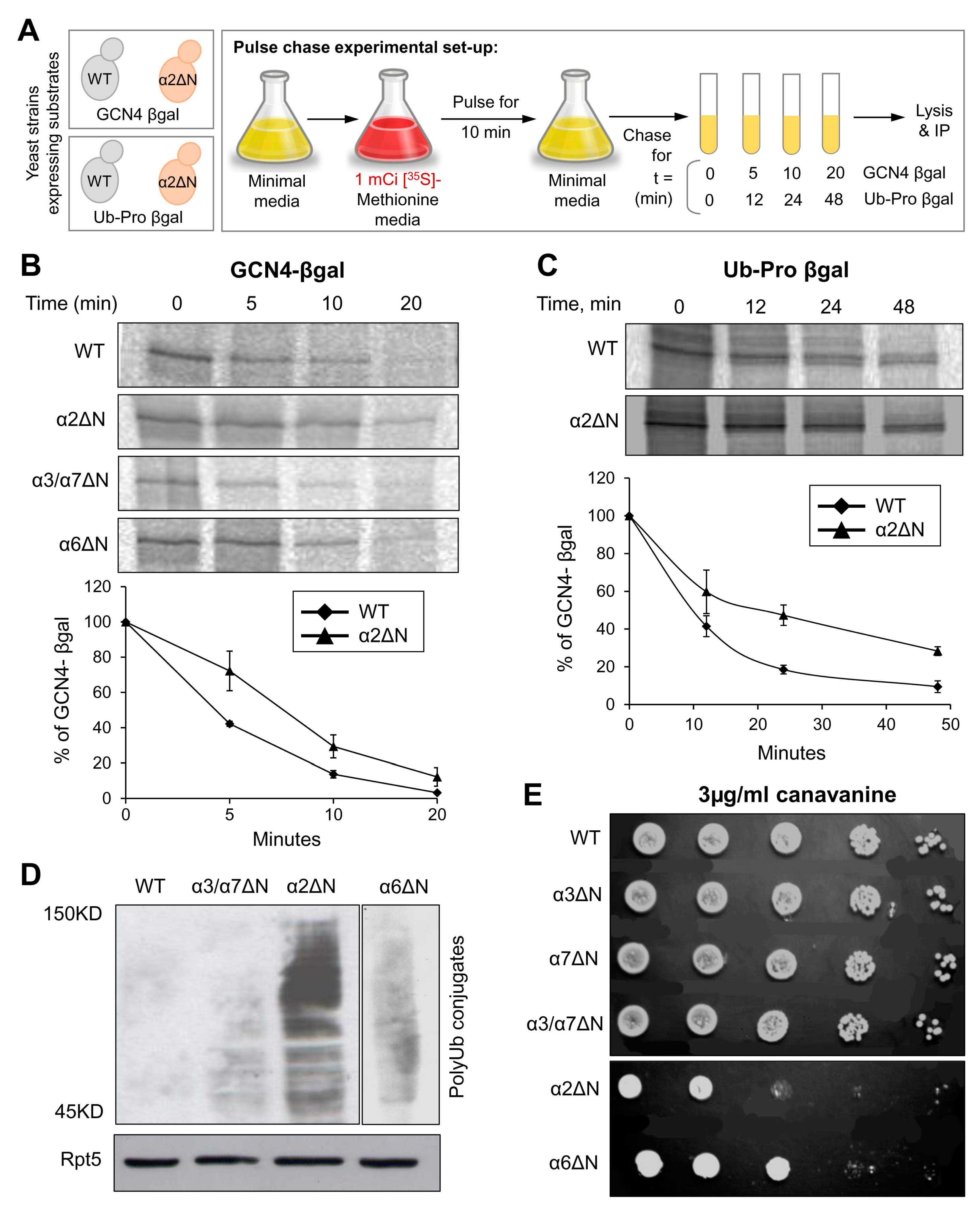 Biomolecules 13 00480 g004