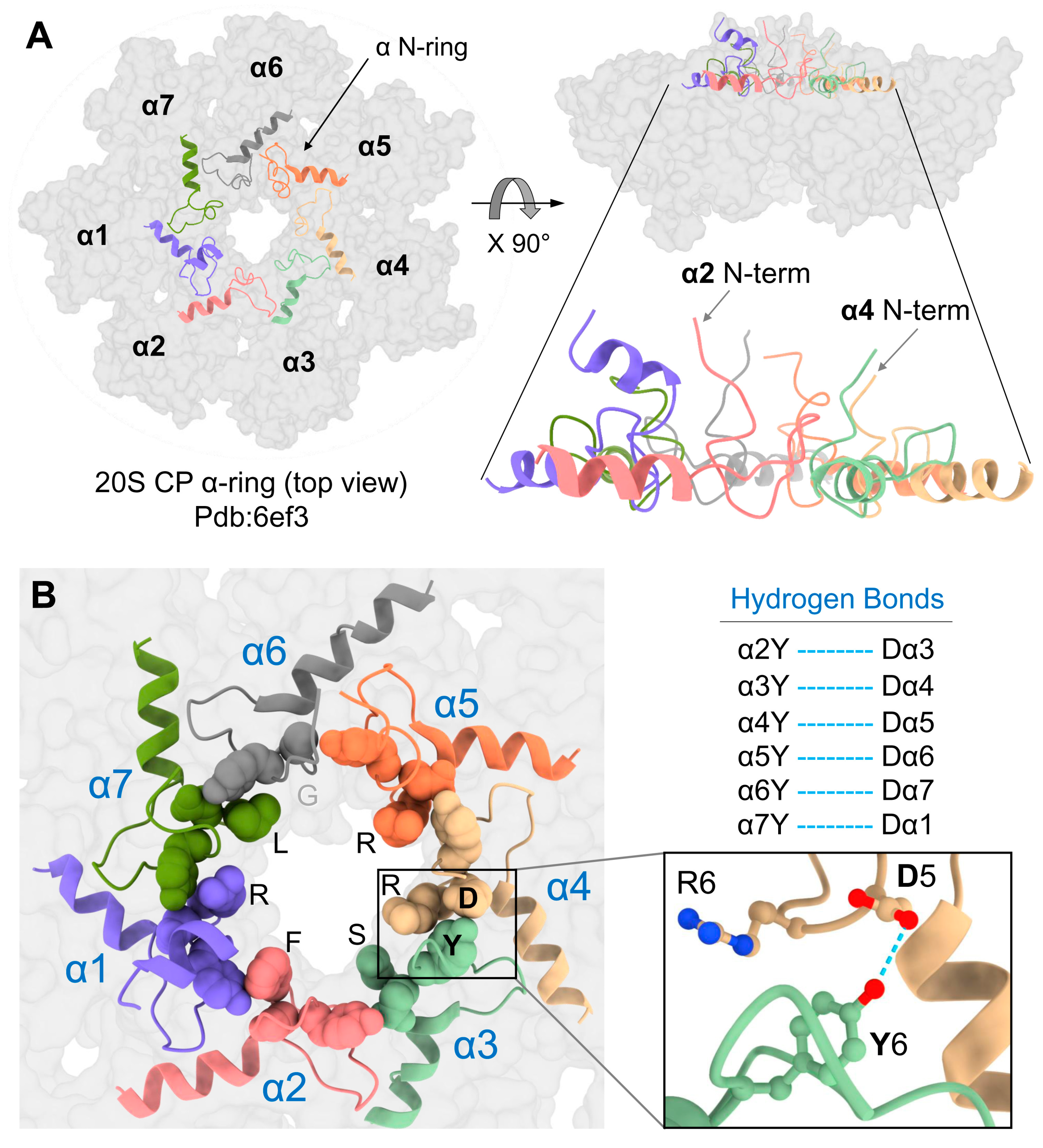Biomolecules 13 00480 g005