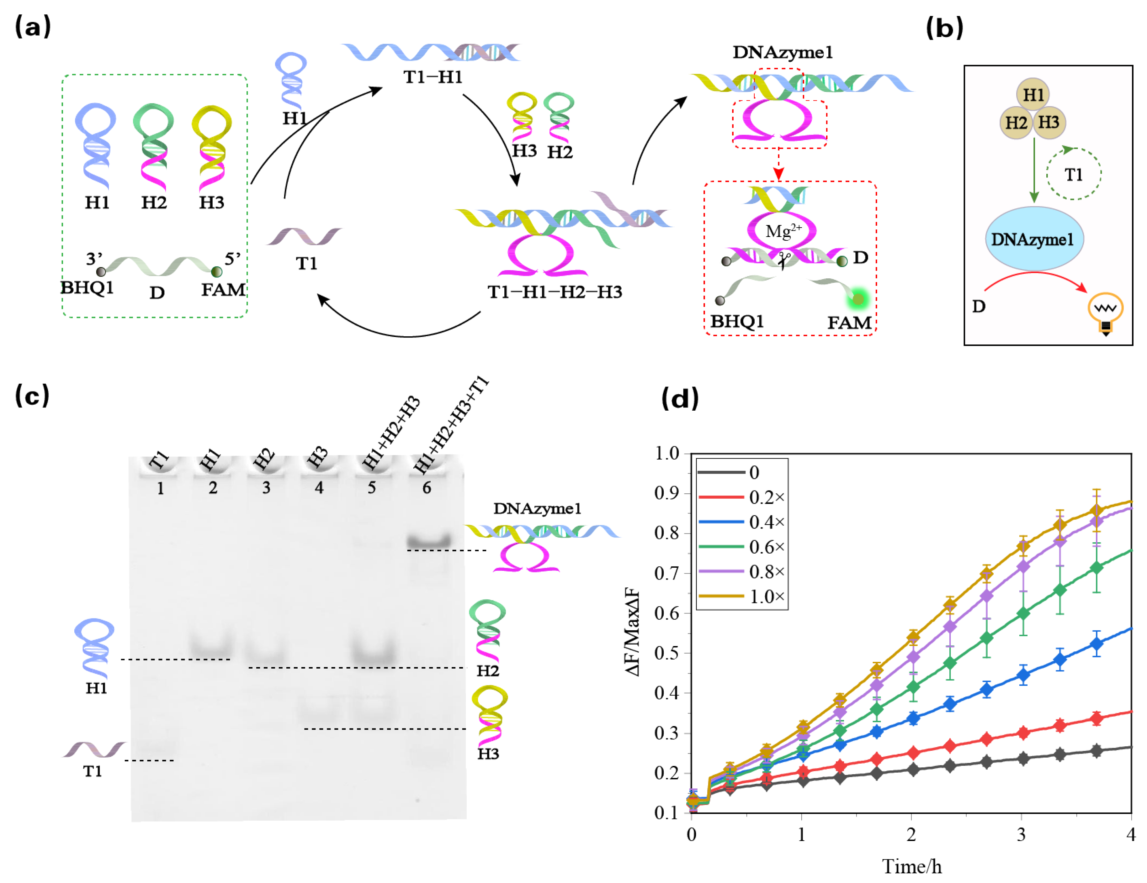 Biomolecules 13 00481 g001