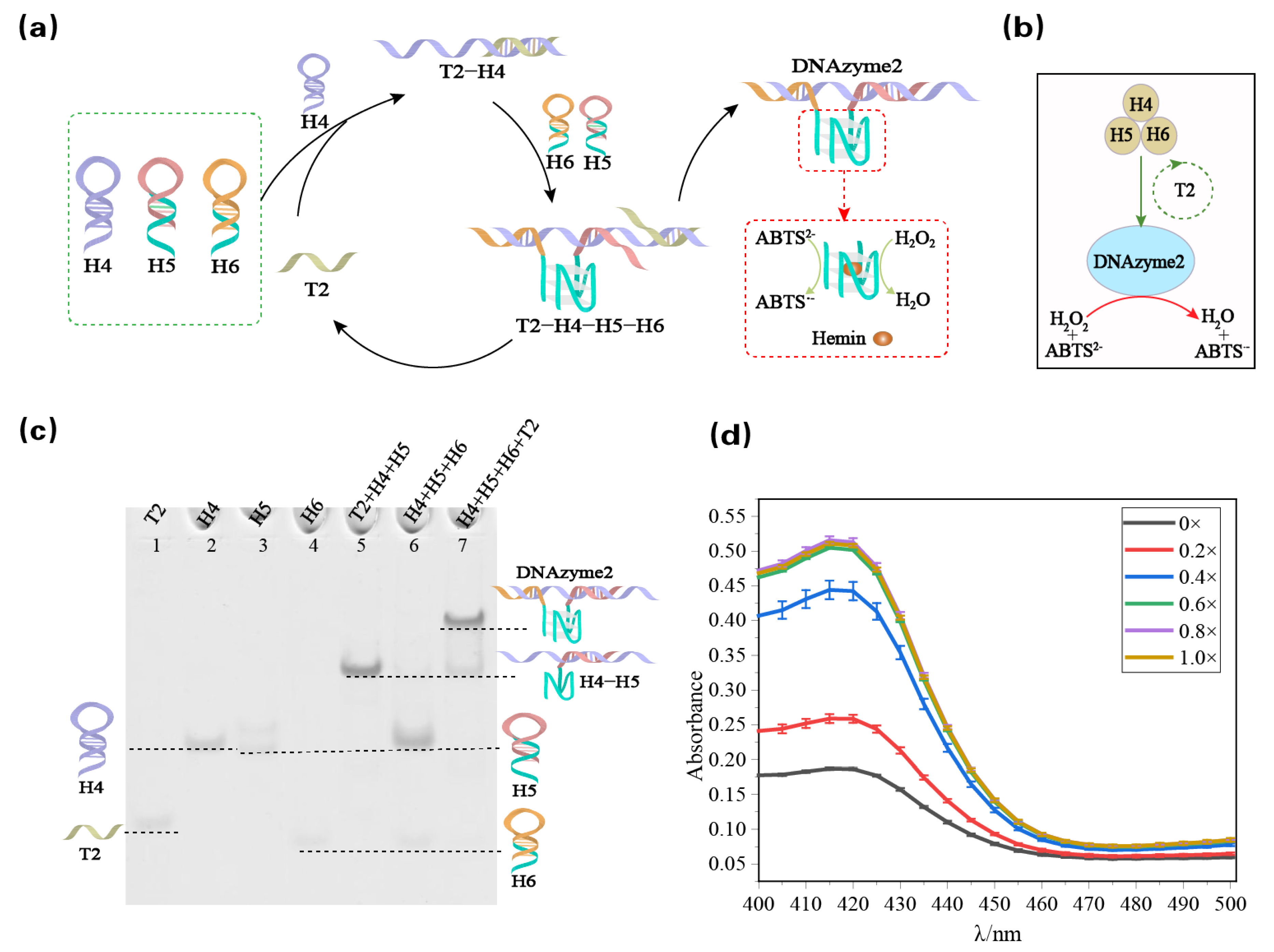 Biomolecules 13 00481 g002