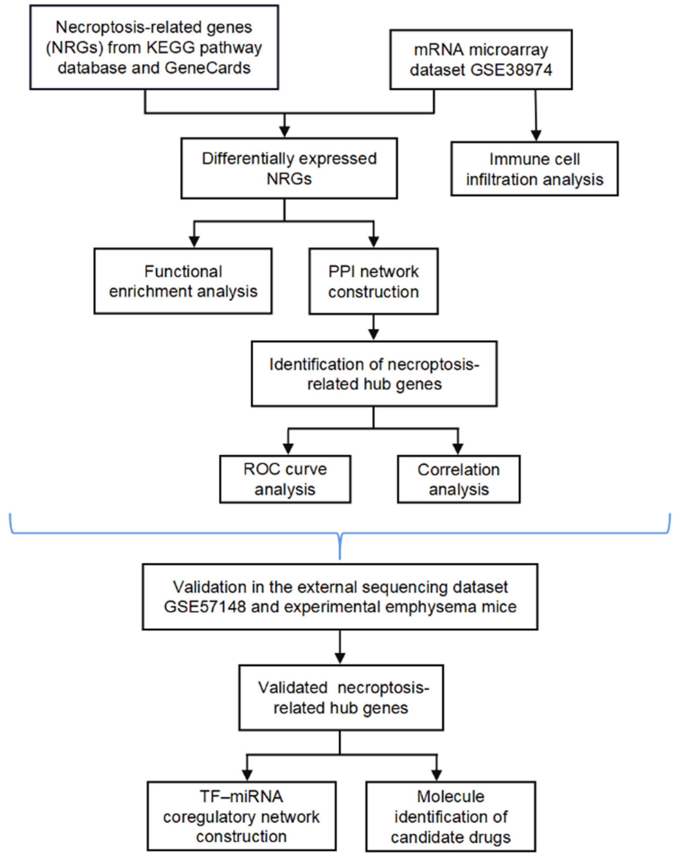 Biomolecules 13 00482 g001