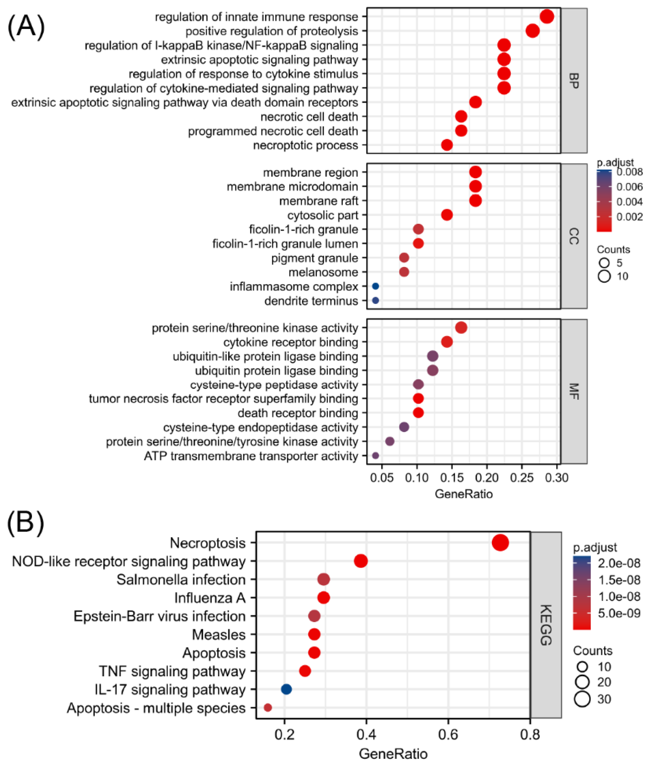 Biomolecules 13 00482 g003