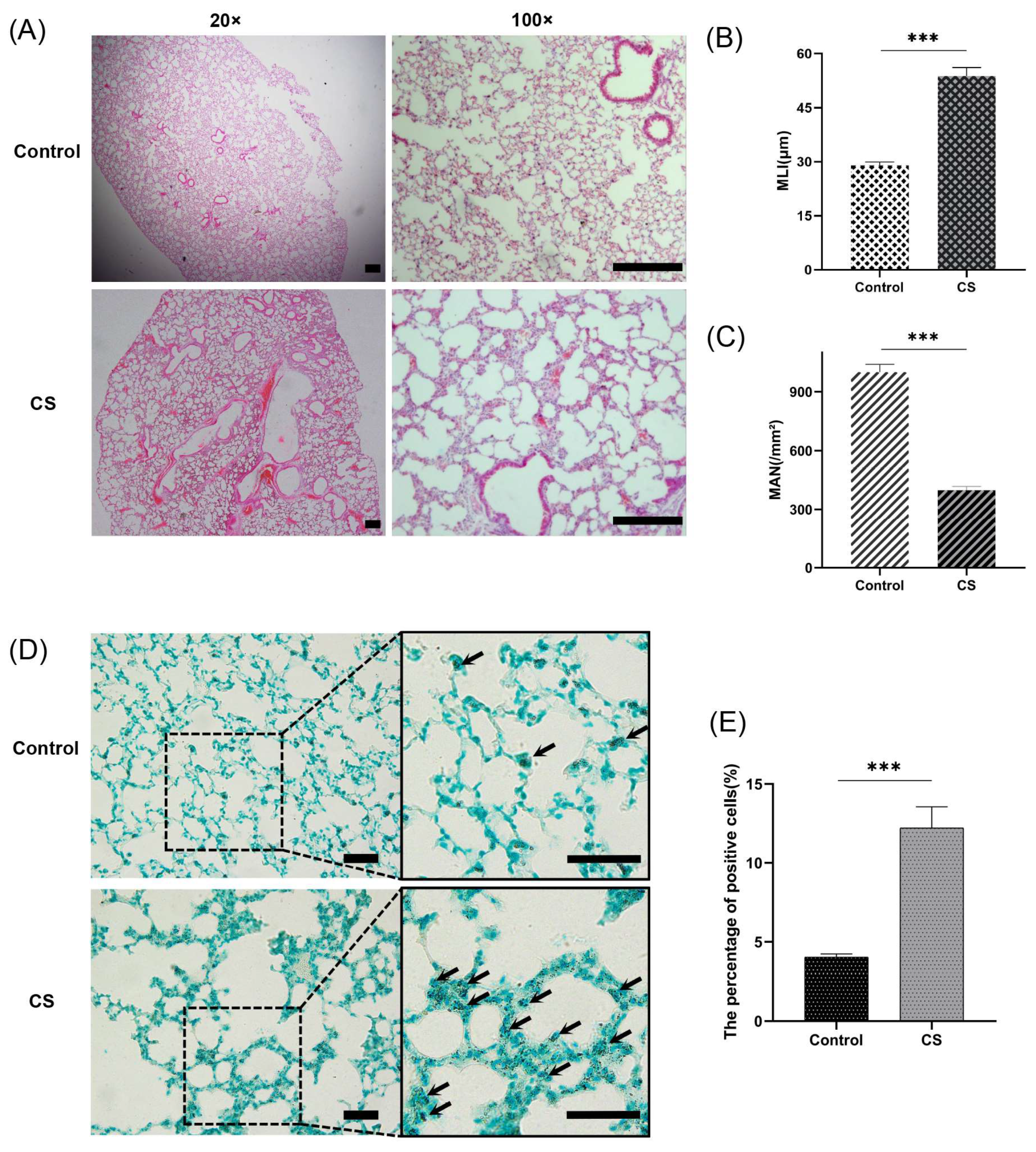 Biomolecules 13 00482 g008