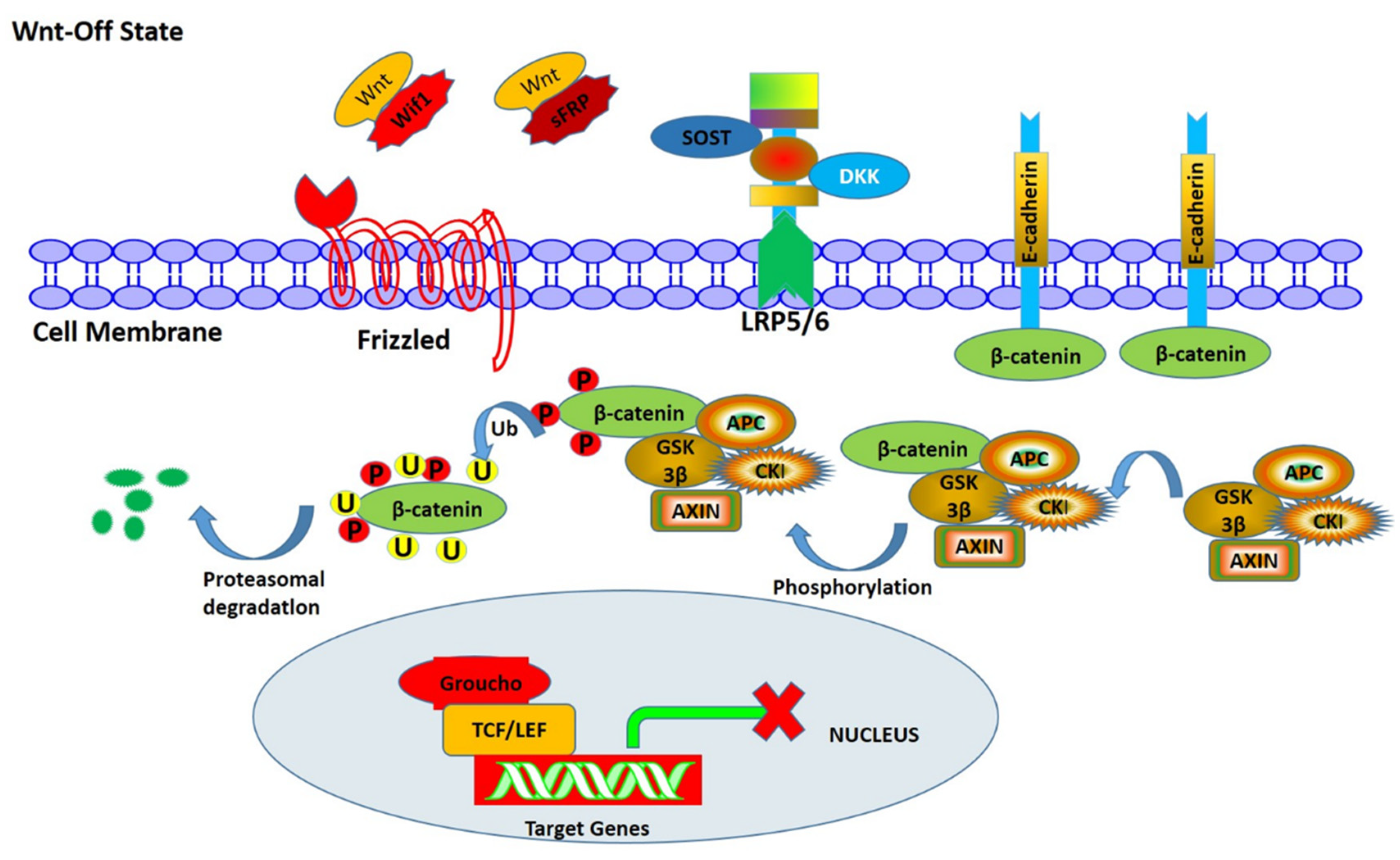 Biomolecules 13 00483 g003