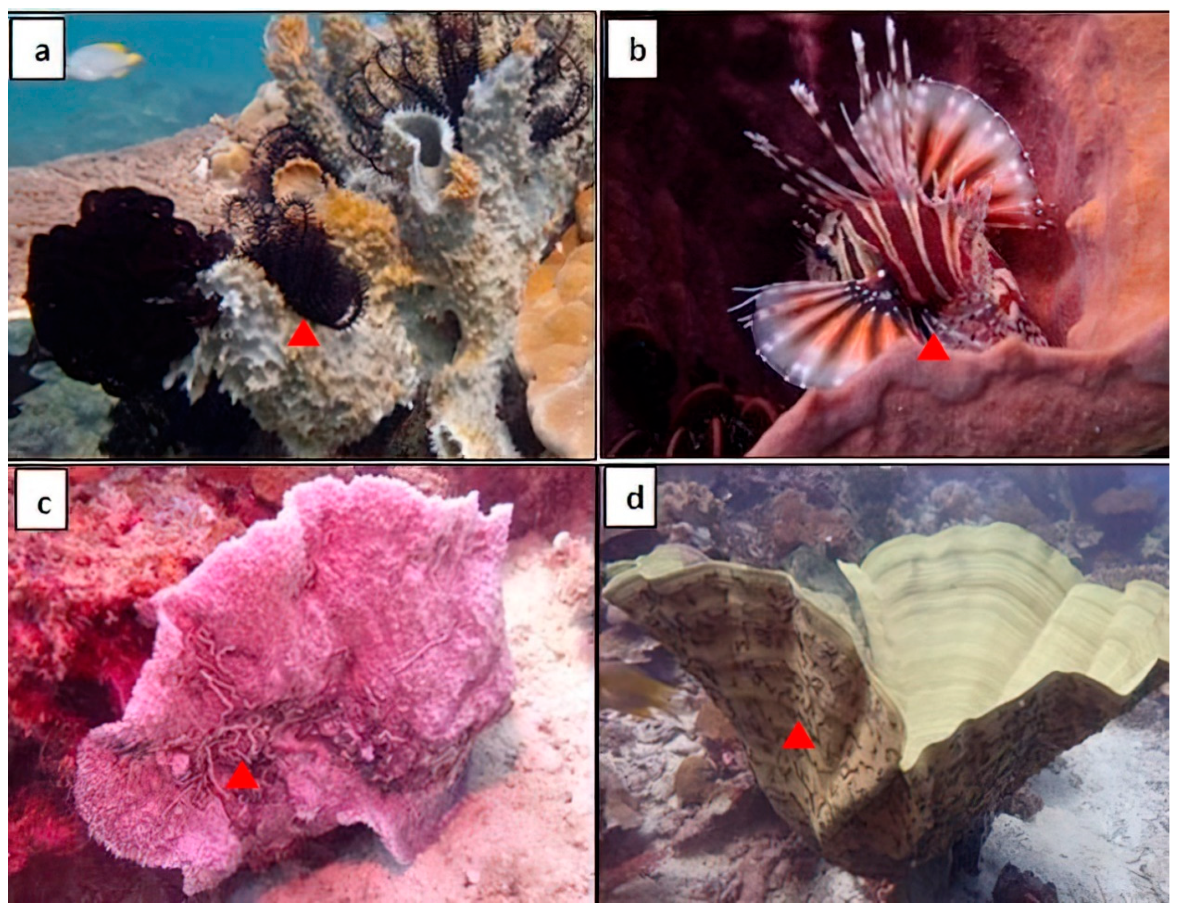 Biomolecules 13 00484 g002