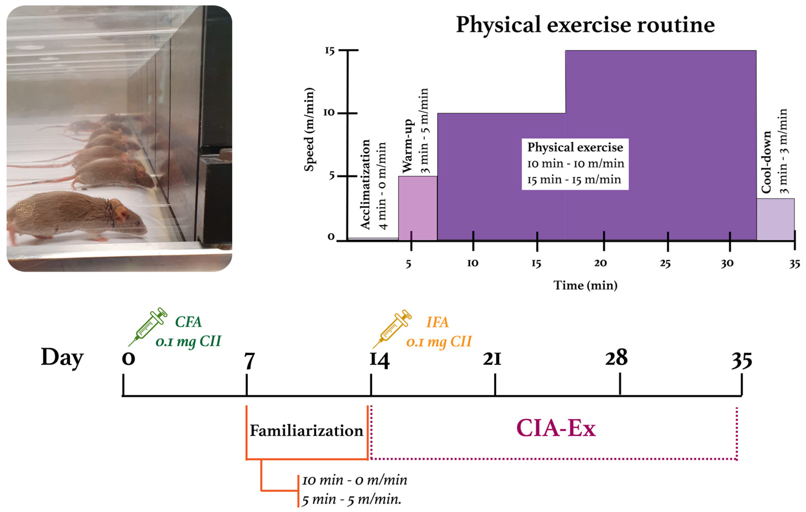 Biomolecules 13 00488 g001