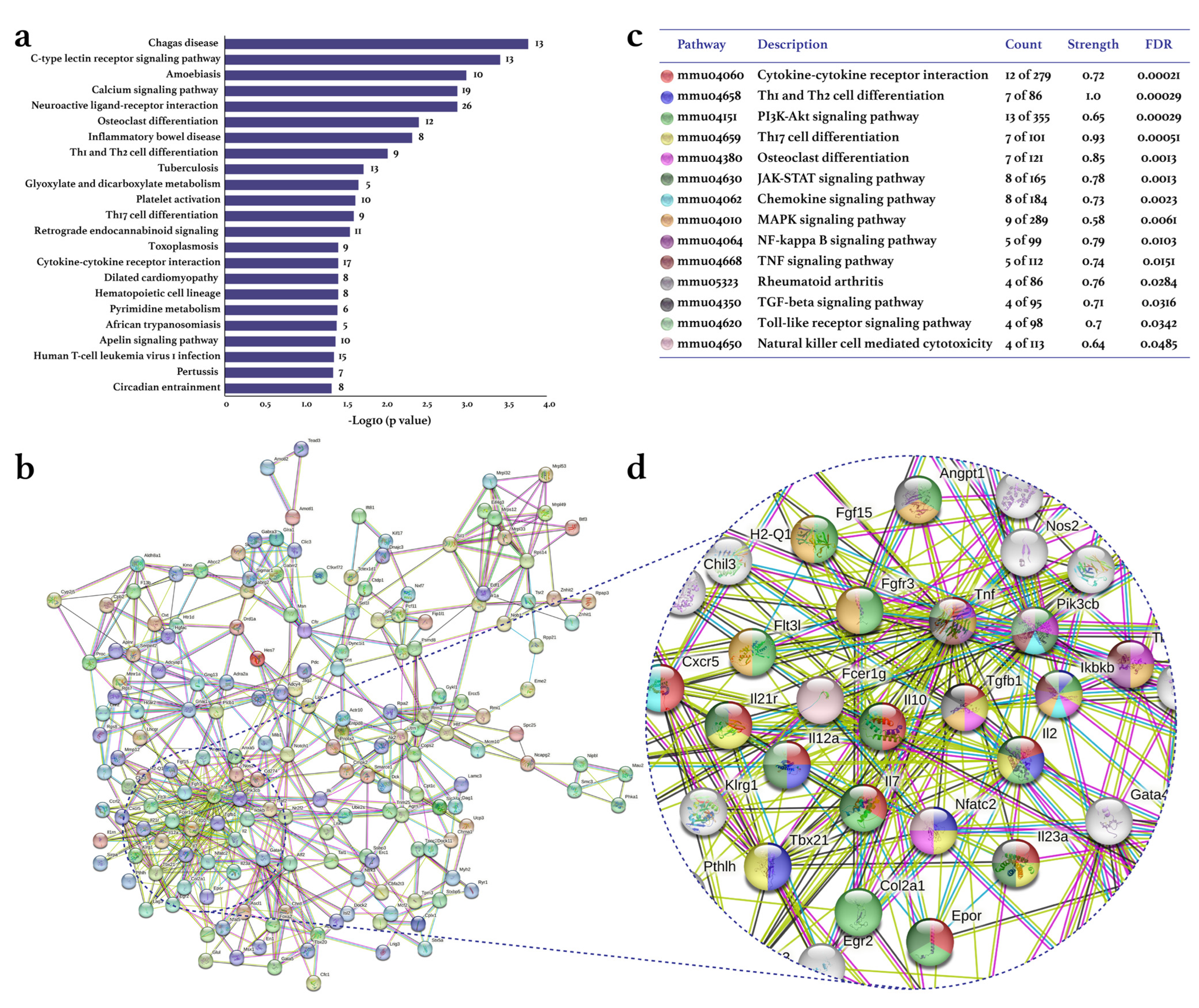Biomolecules 13 00488 g002