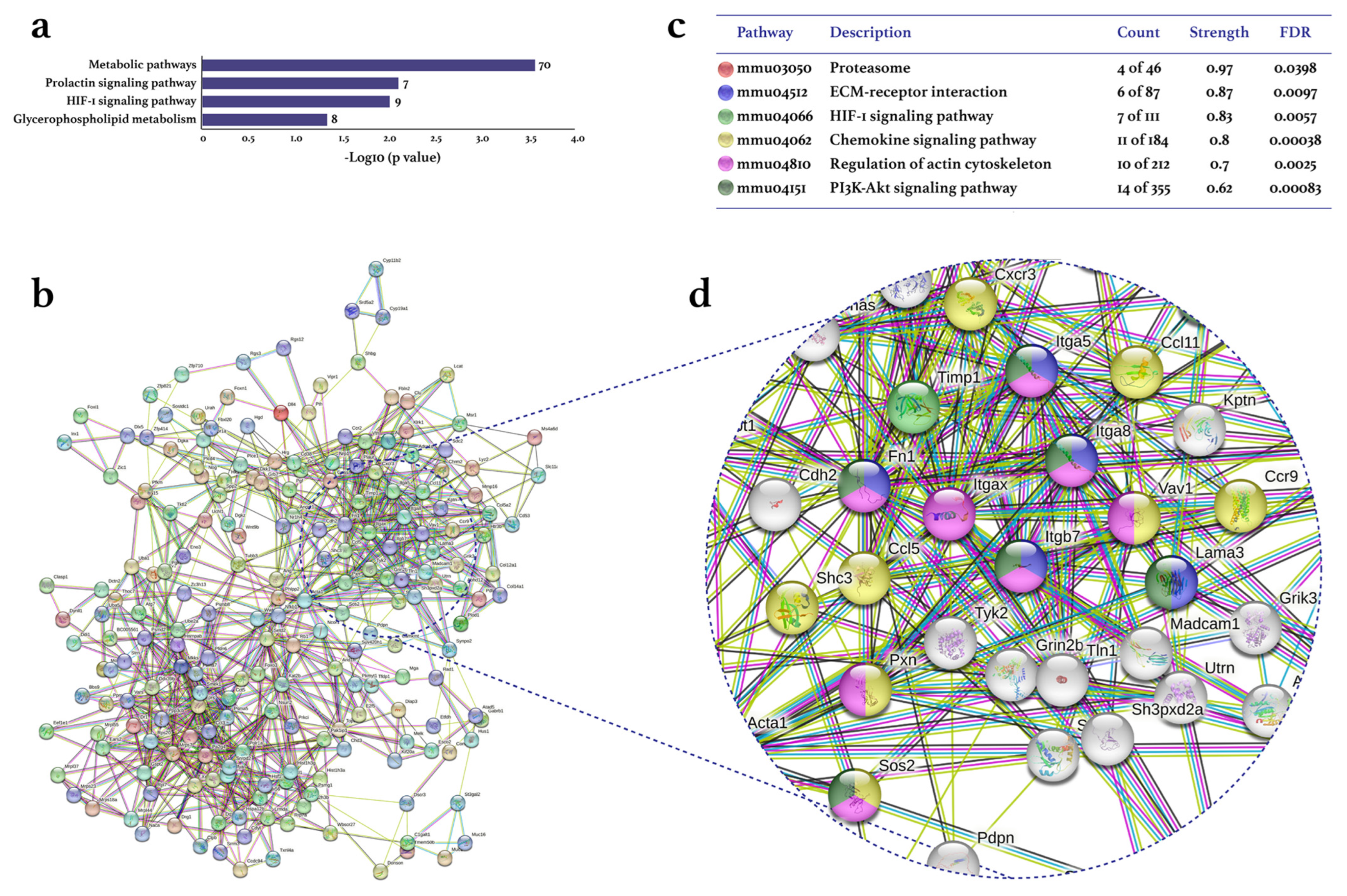 Biomolecules 13 00488 g003