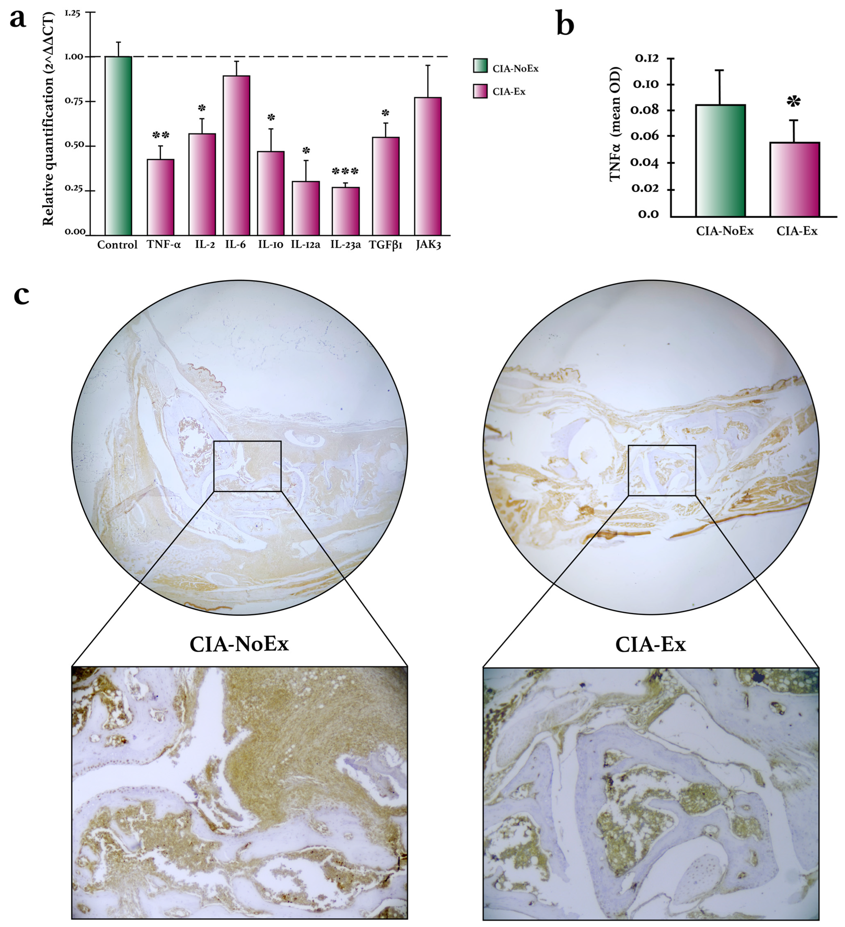 Biomolecules 13 00488 g005