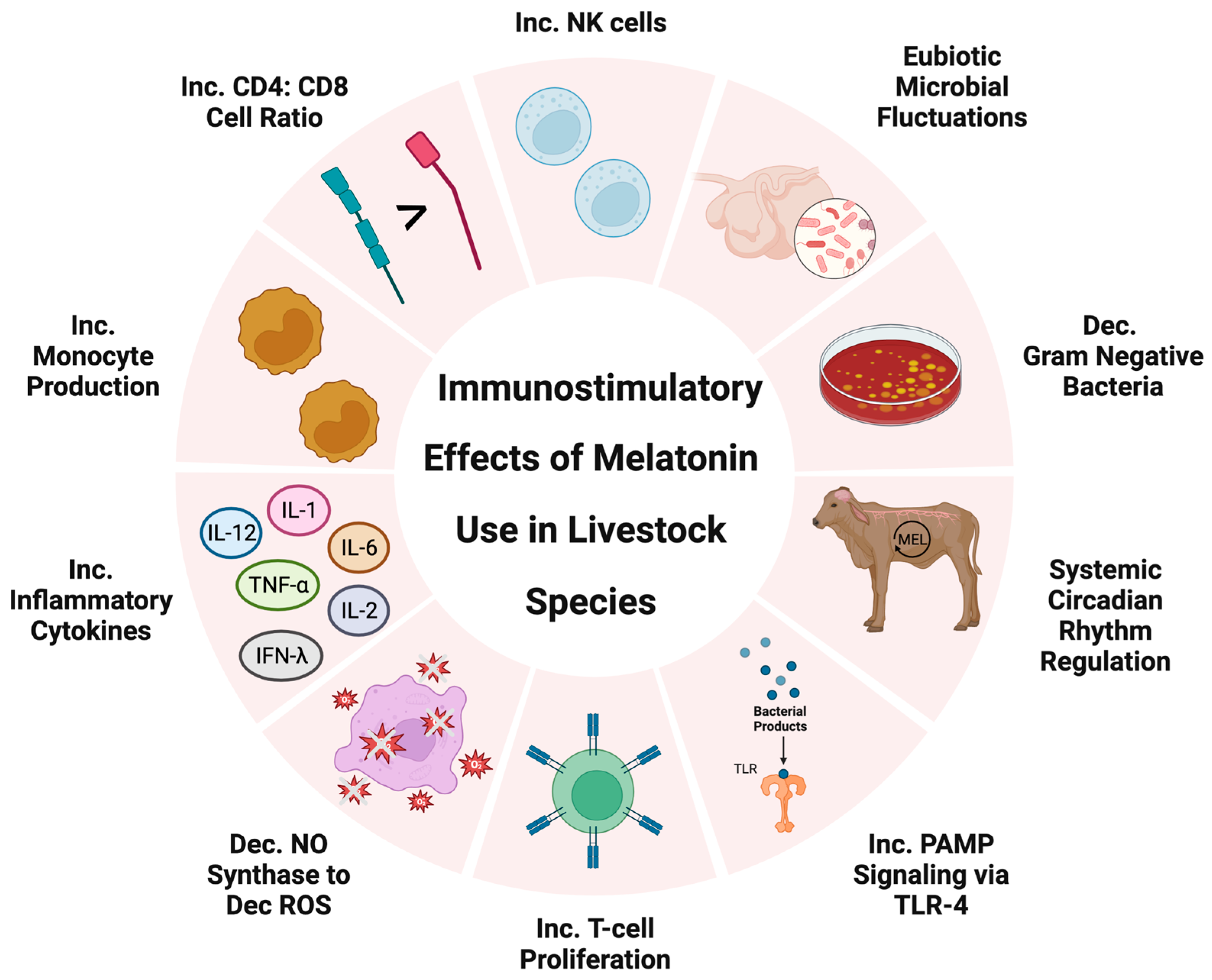 Biomolecules 13 00490 g001
