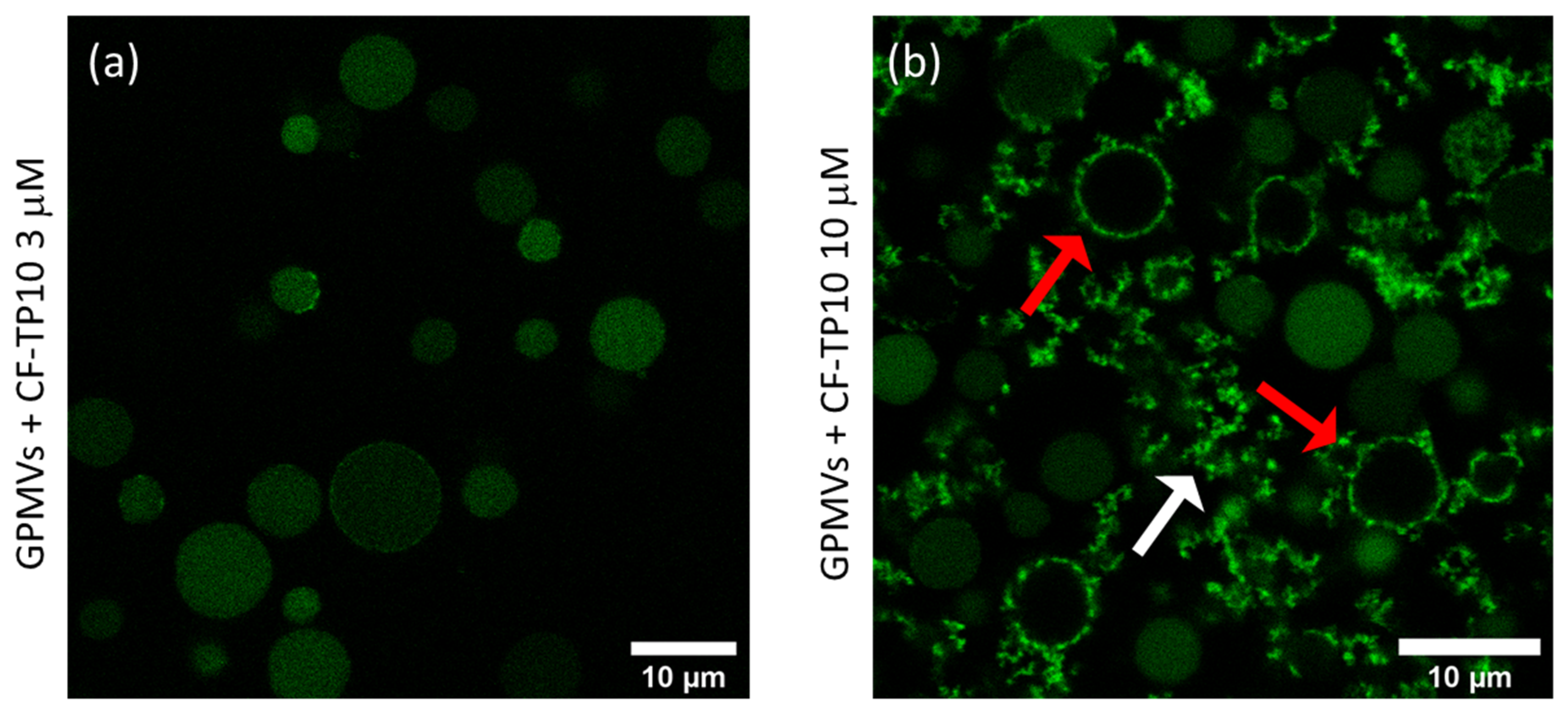 Biomolecules 13 00492 g001