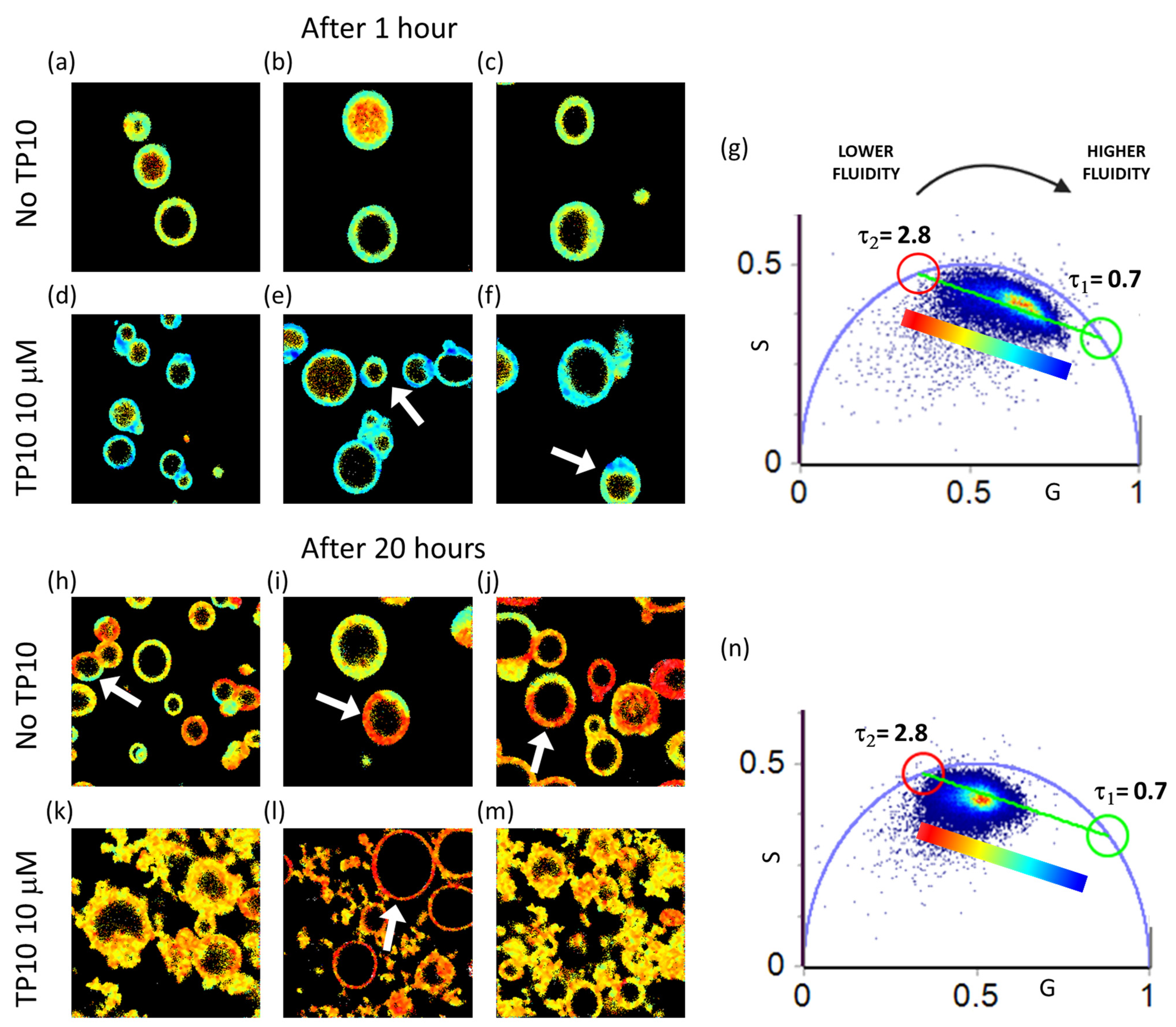 Biomolecules 13 00492 g005