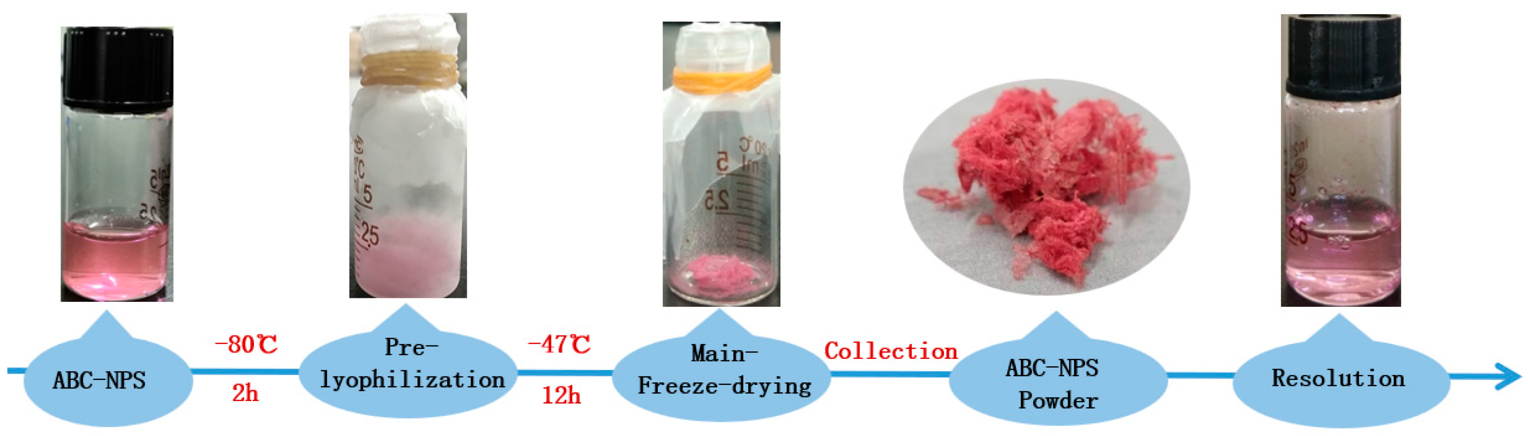 Biomolecules 13 00496 g001