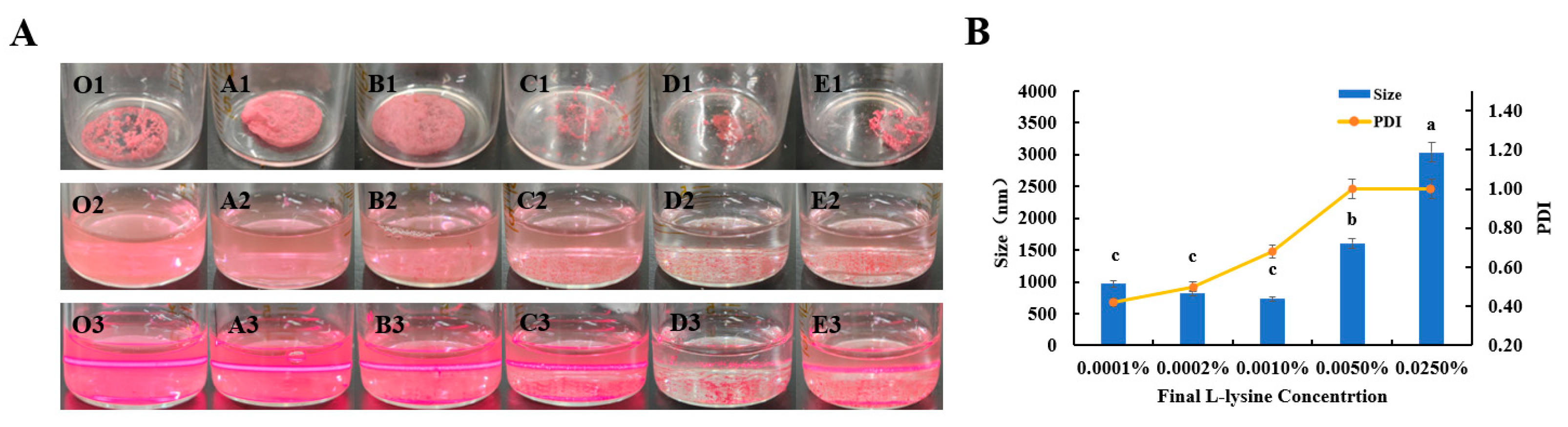 Biomolecules 13 00496 g005