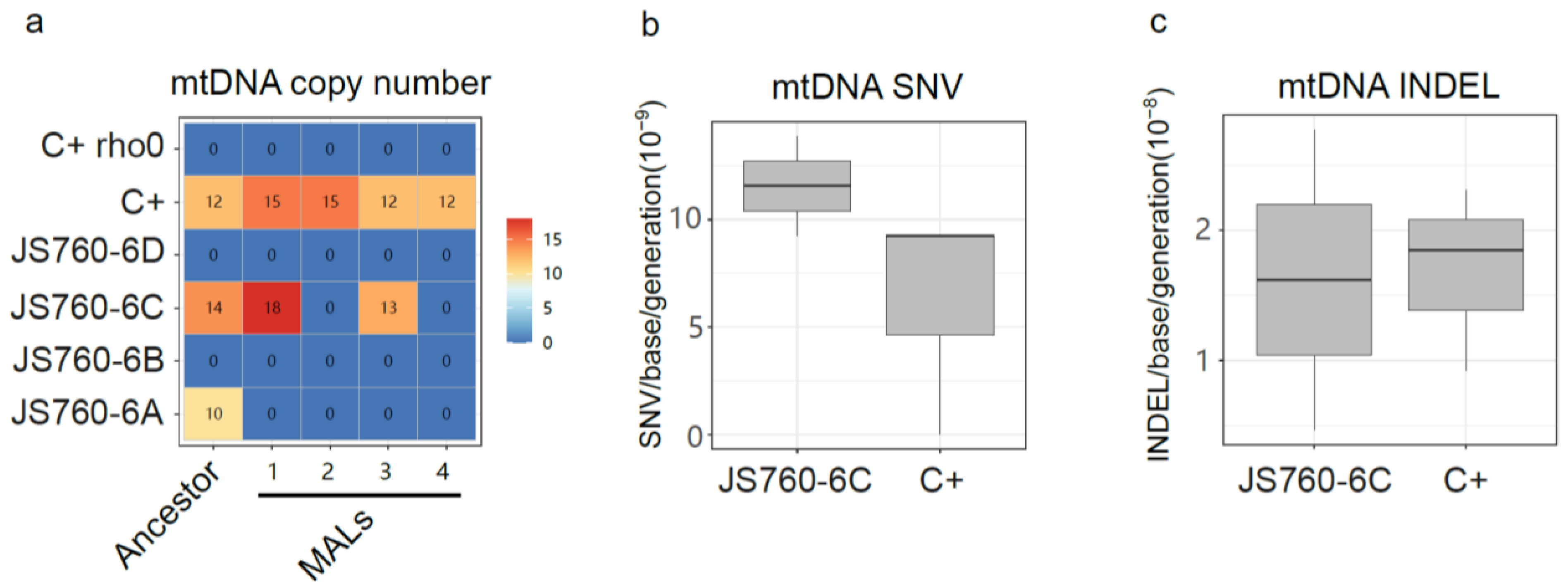 Biomolecules 13 00501 g005