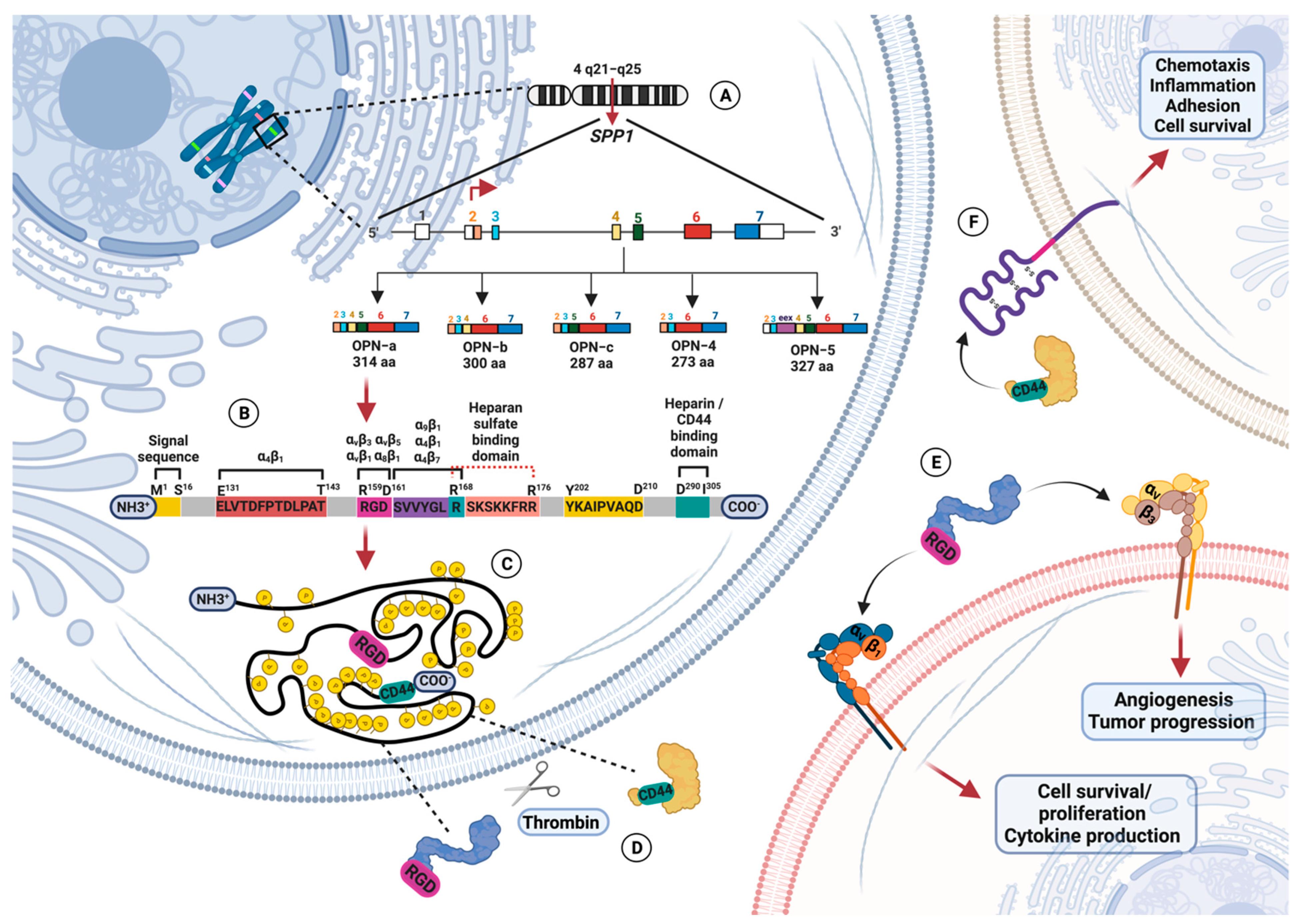 Biomolecules 13 00502 g001
