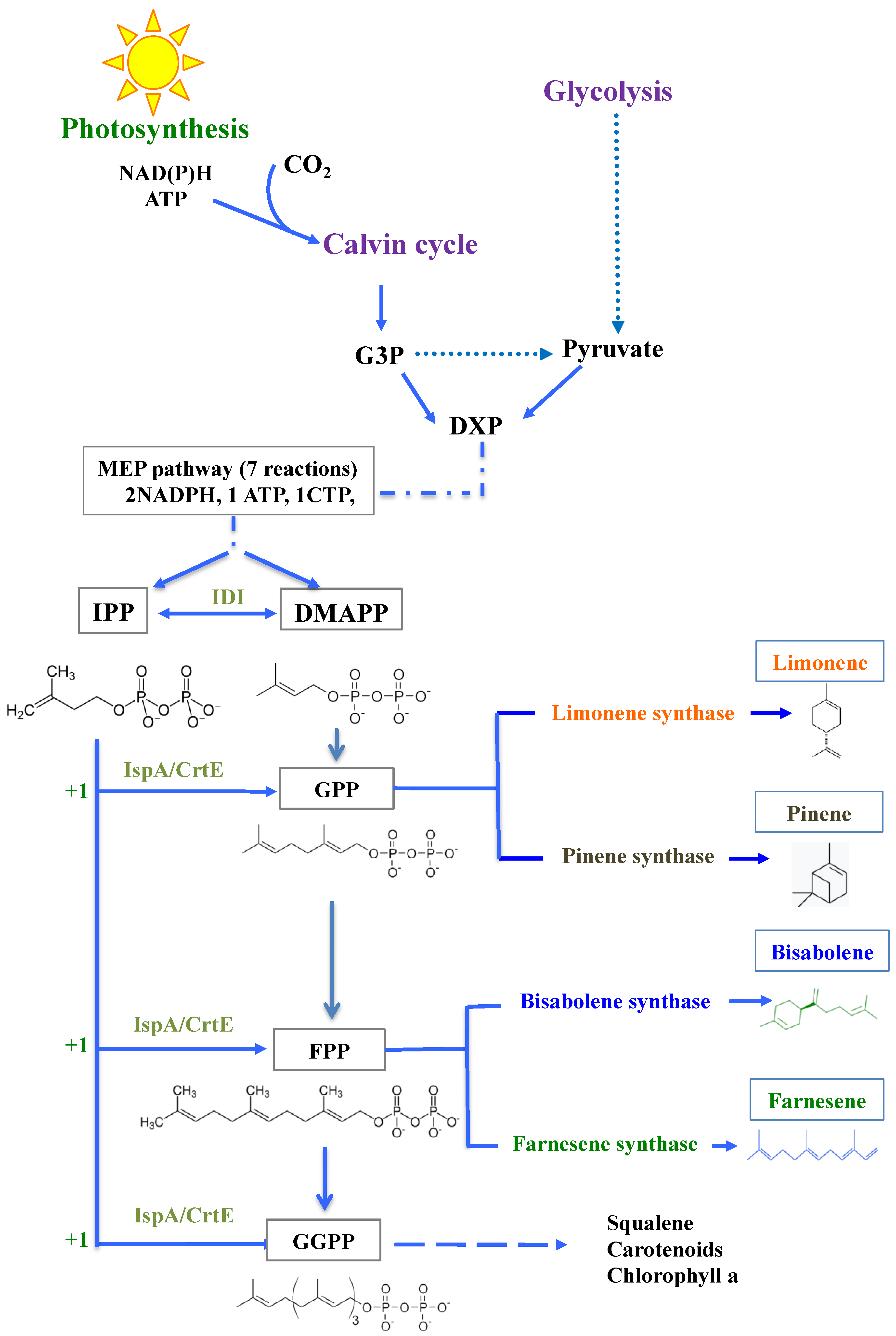 Biomolecules 13 00504 g001 Biomolecules 13 00504 g001