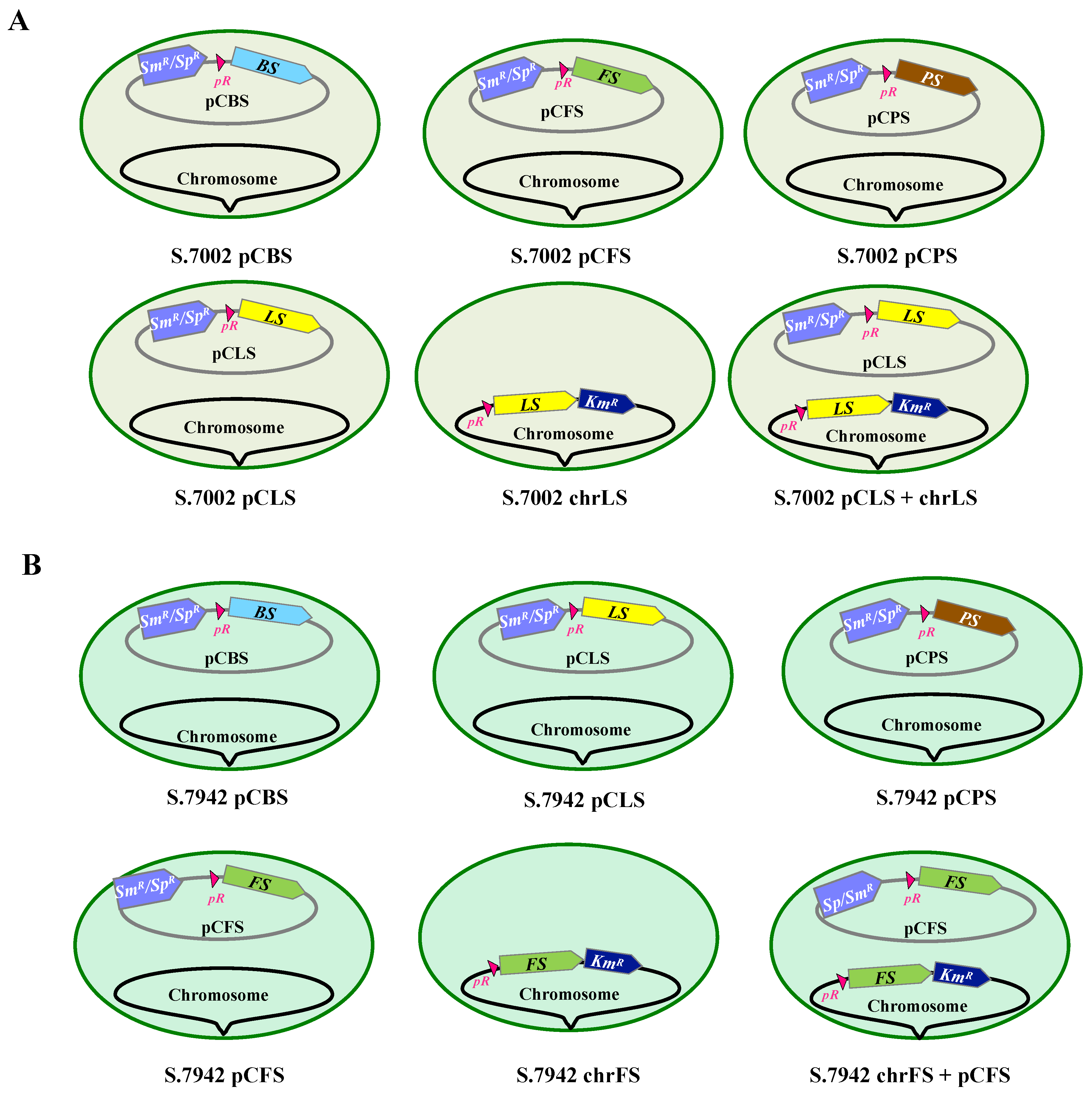 Biomolecules 13 00504 g002 Biomolecules 13 00504 g002